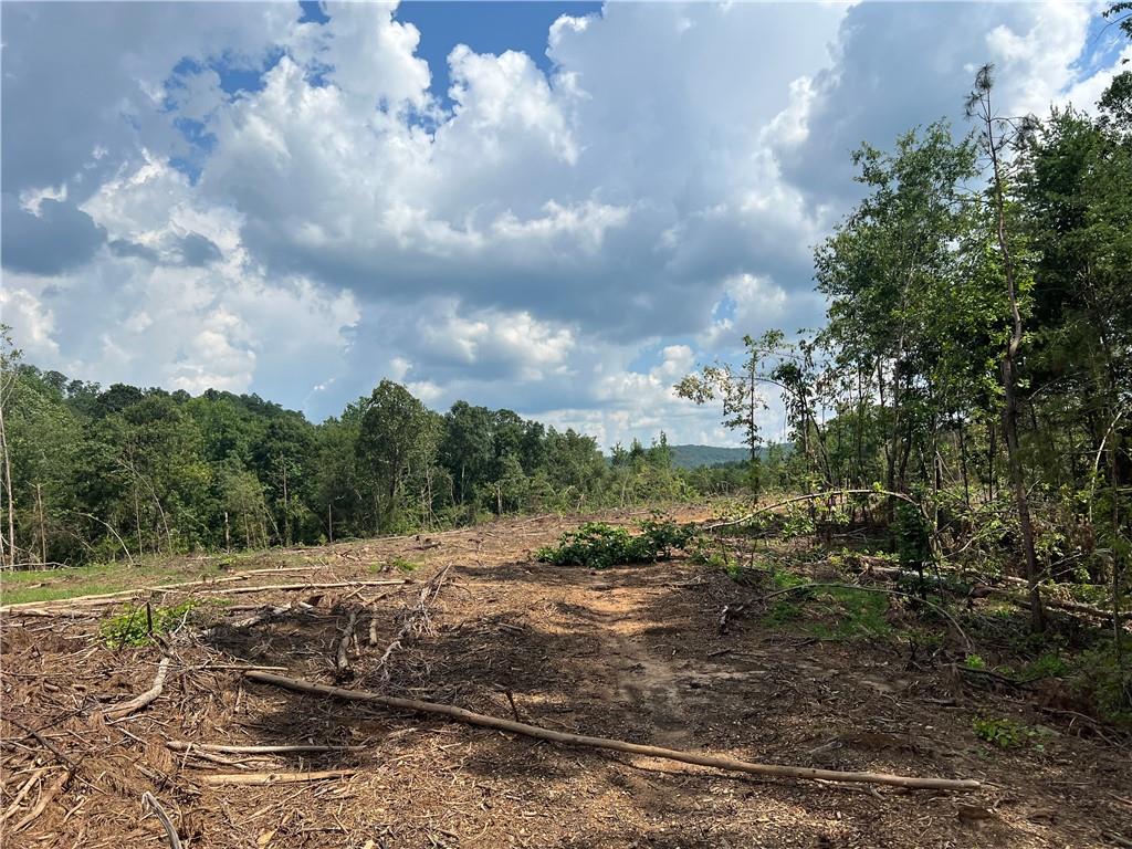 2055 Blacks Bluff Road SW