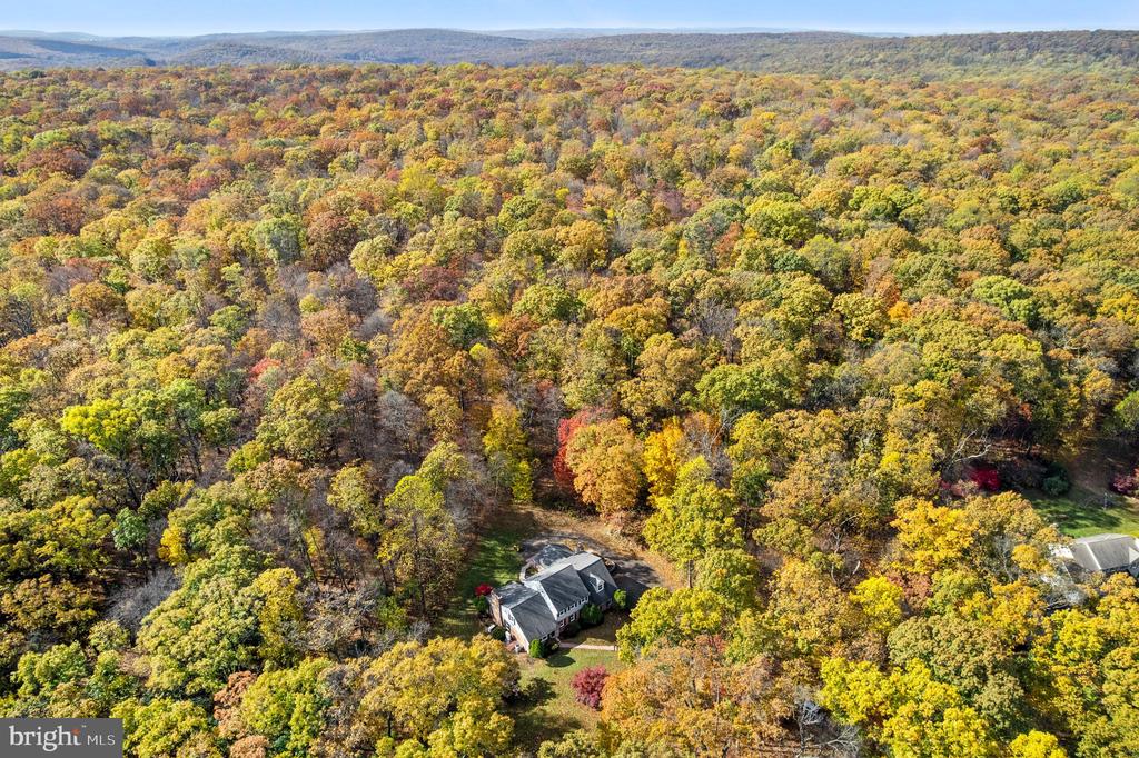2435 SAINT PETERS ROAD