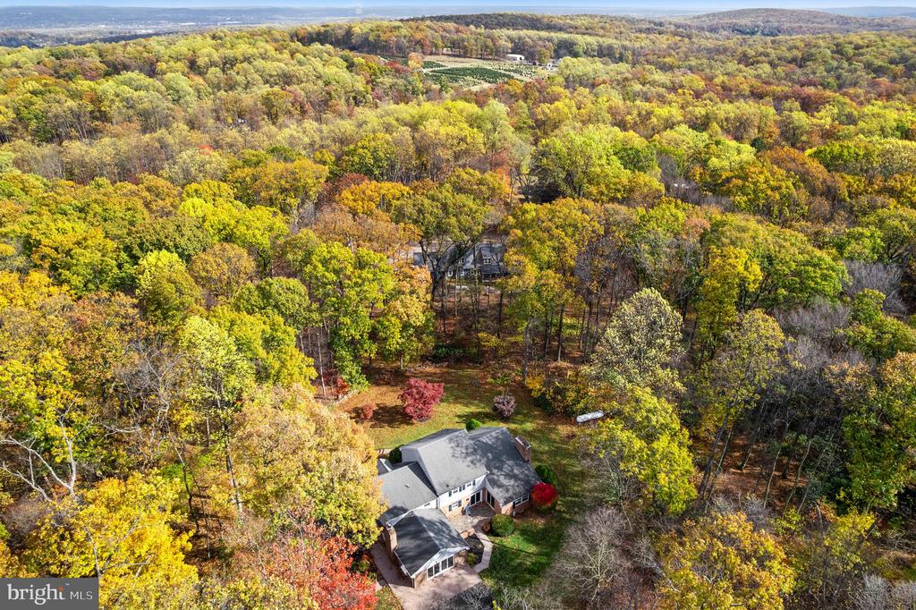 2435 SAINT PETERS ROAD