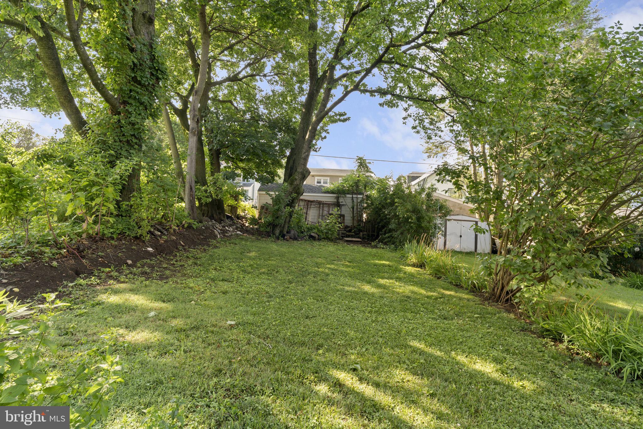 223 Windsor Ave