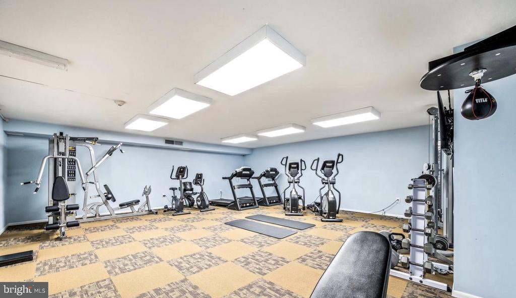 930 MONTGOMERY AVENUE Unit: 206
