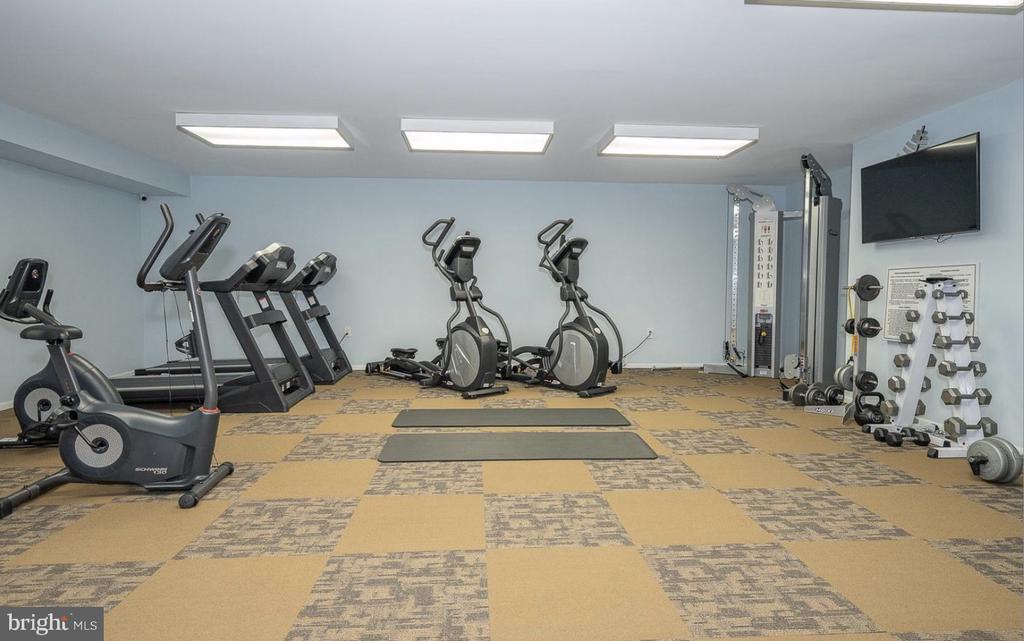 930 MONTGOMERY AVENUE Unit: 206