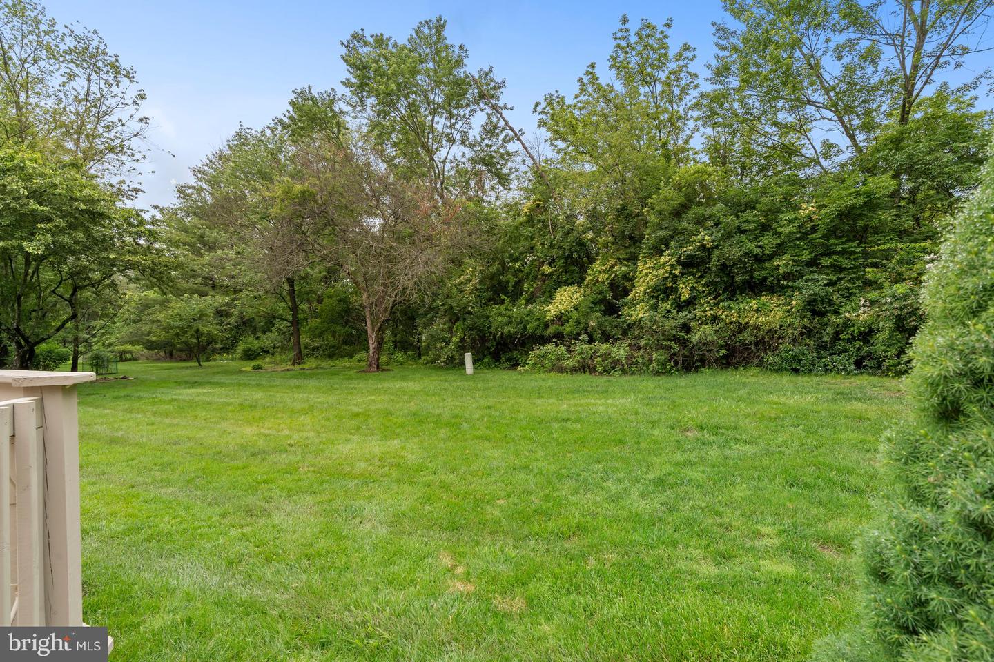 110 Bridle Ln