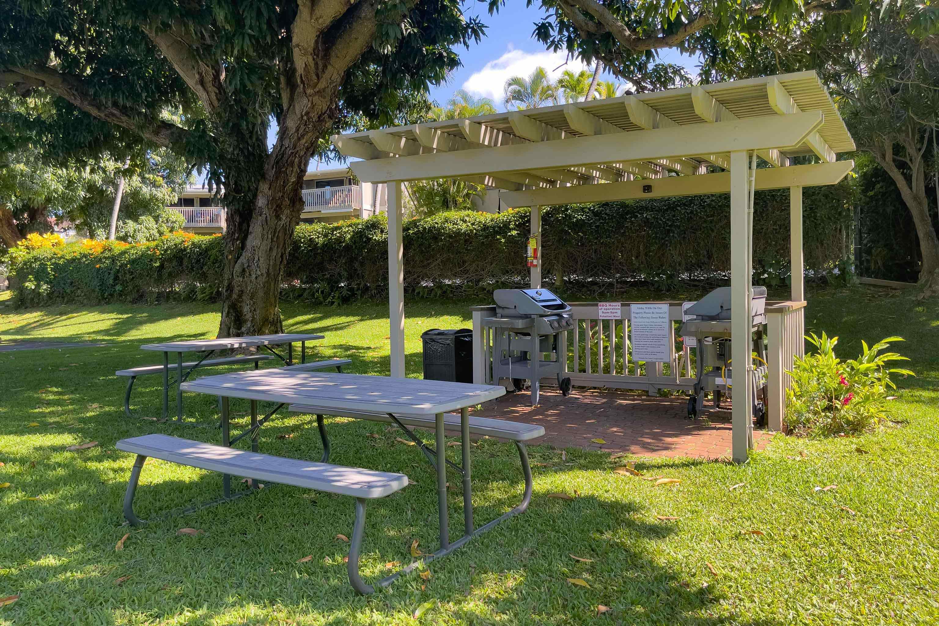 Lower Honoapiilani Rd Unit: 154