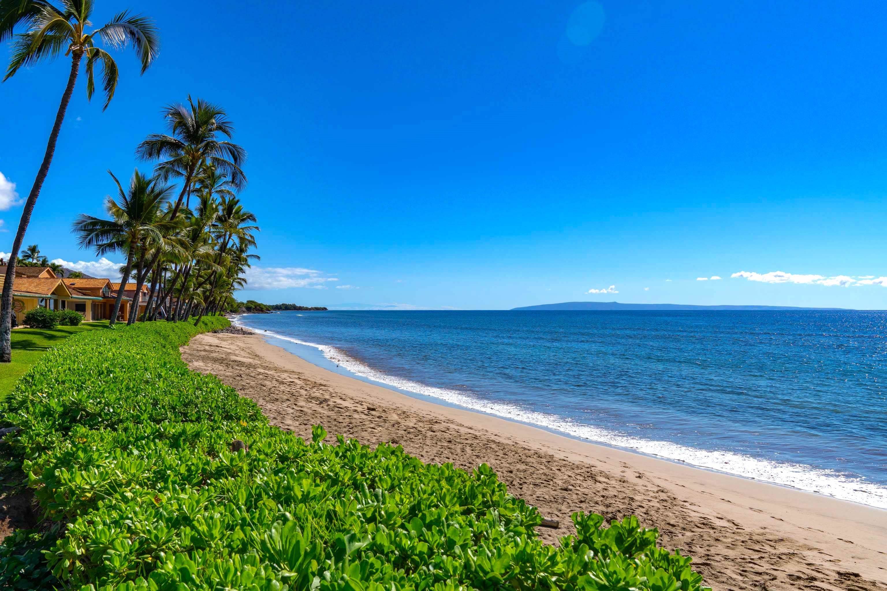 160 Pualei Dr Unit: 160-4