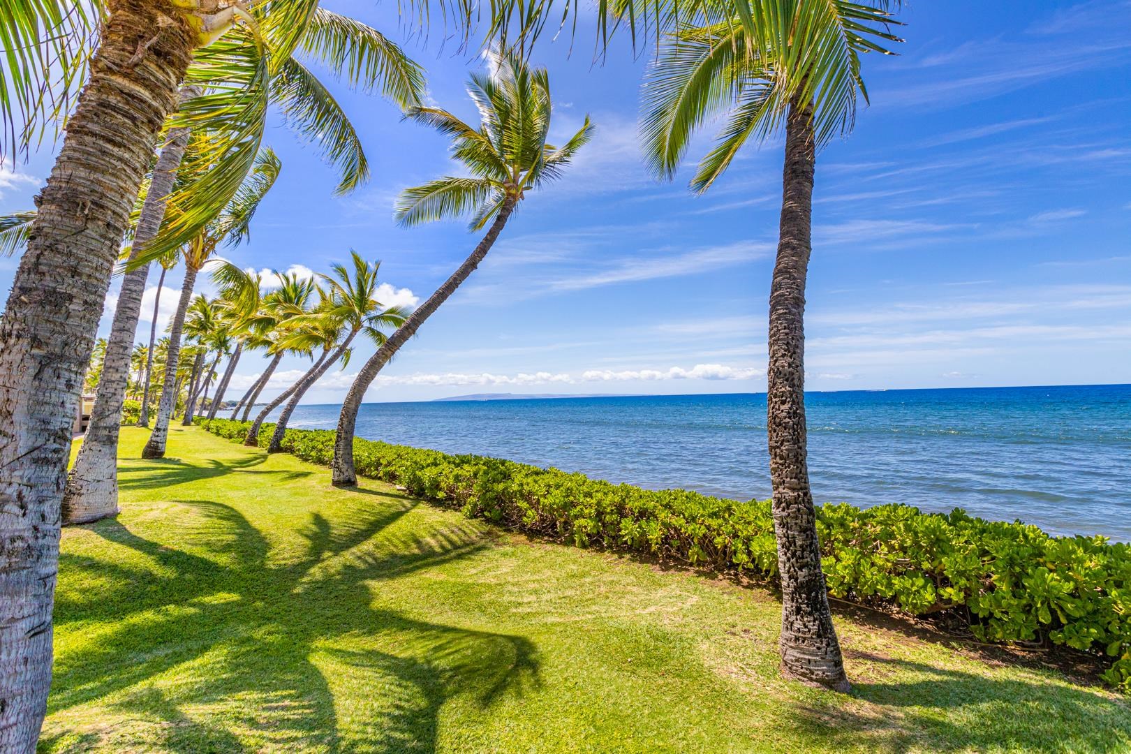 160 Pualei Dr Unit: 160-4