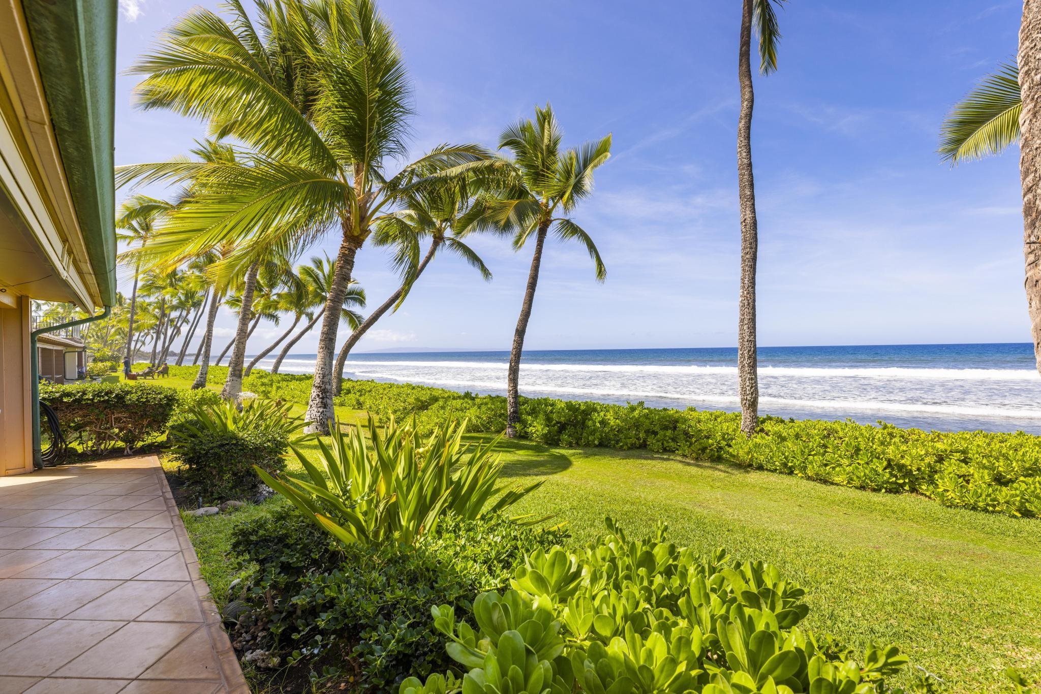 160 Pualei Dr Unit: 160-4