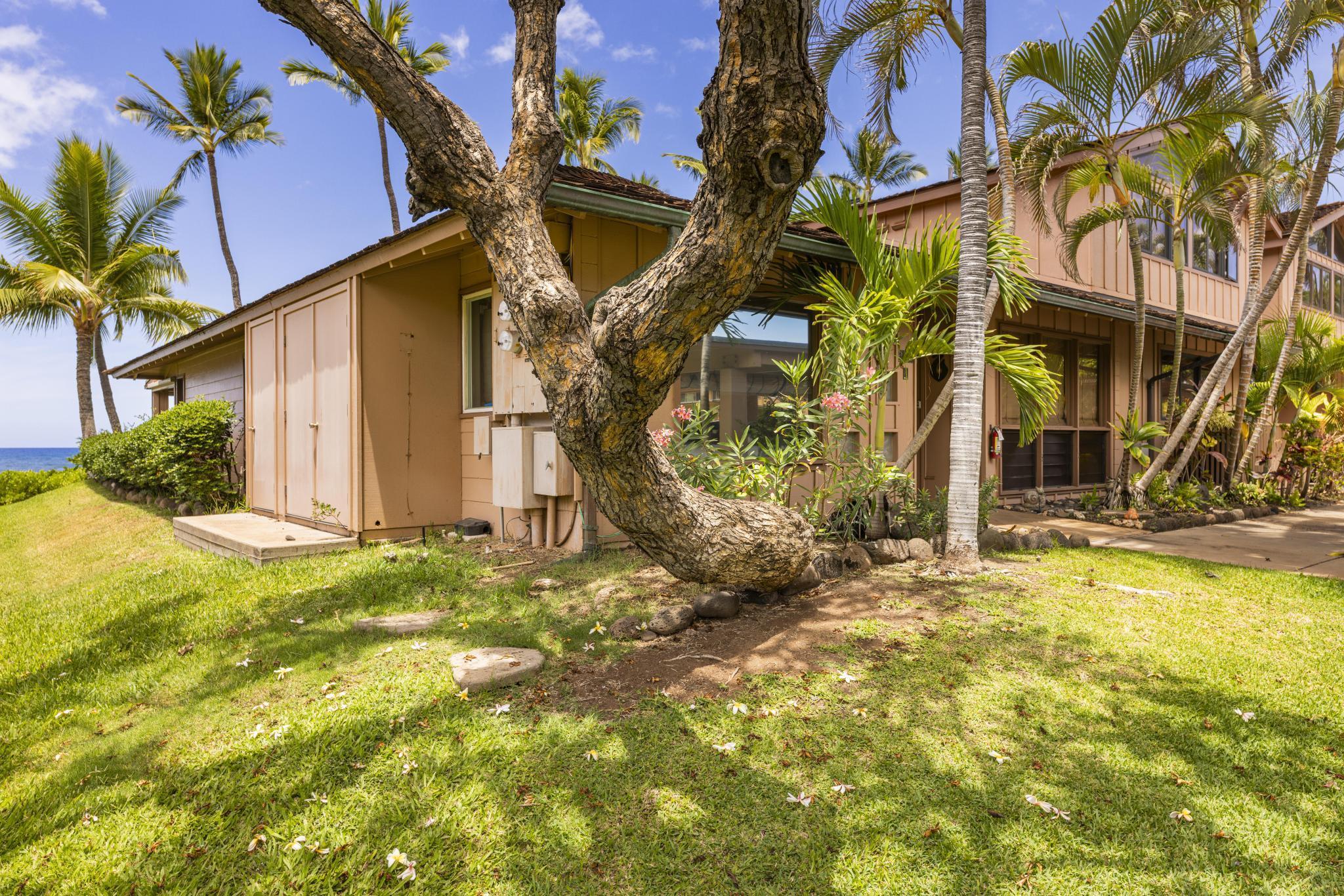 160 Pualei Dr Unit: 160-4