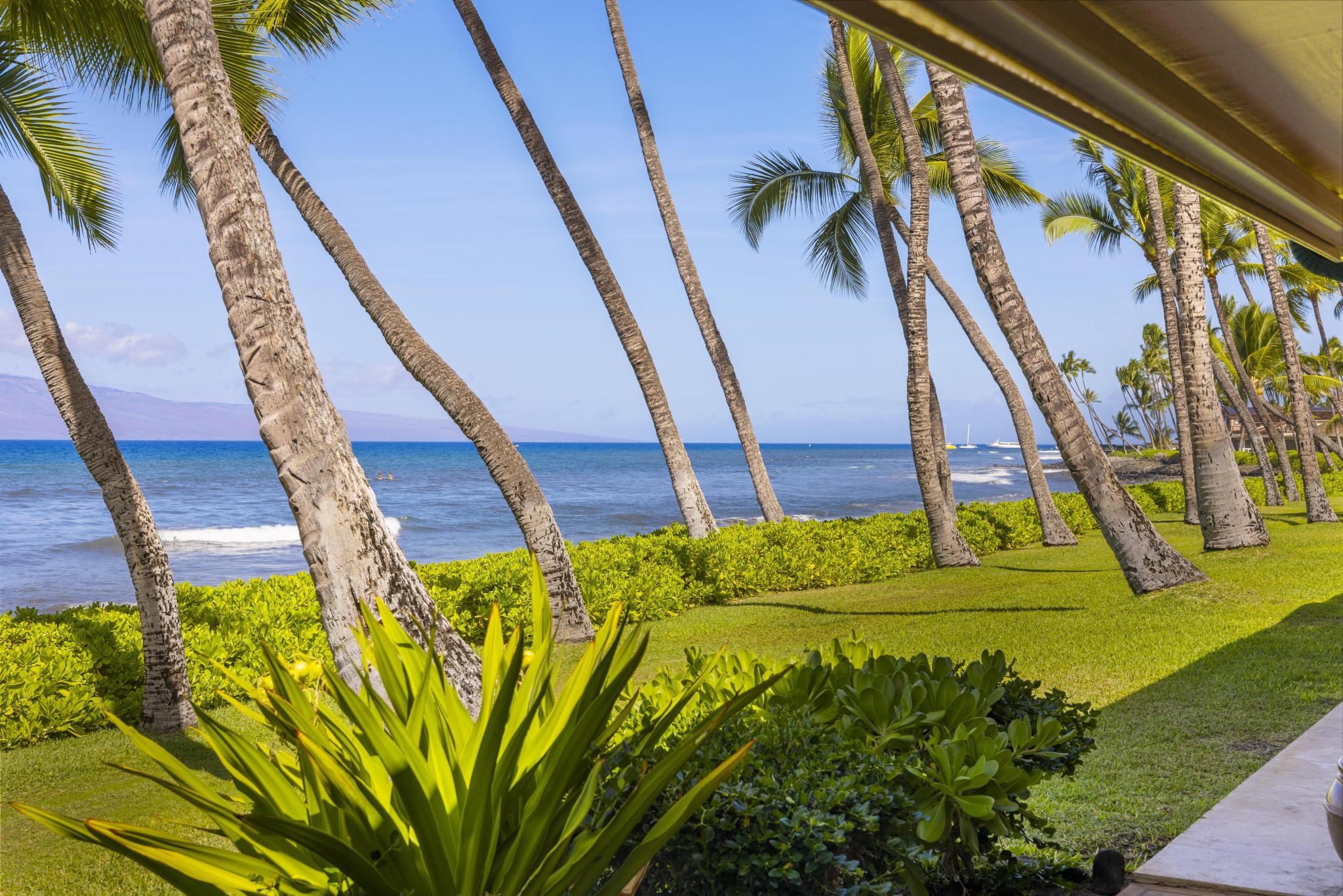 160 Pualei Dr Unit: 160-4