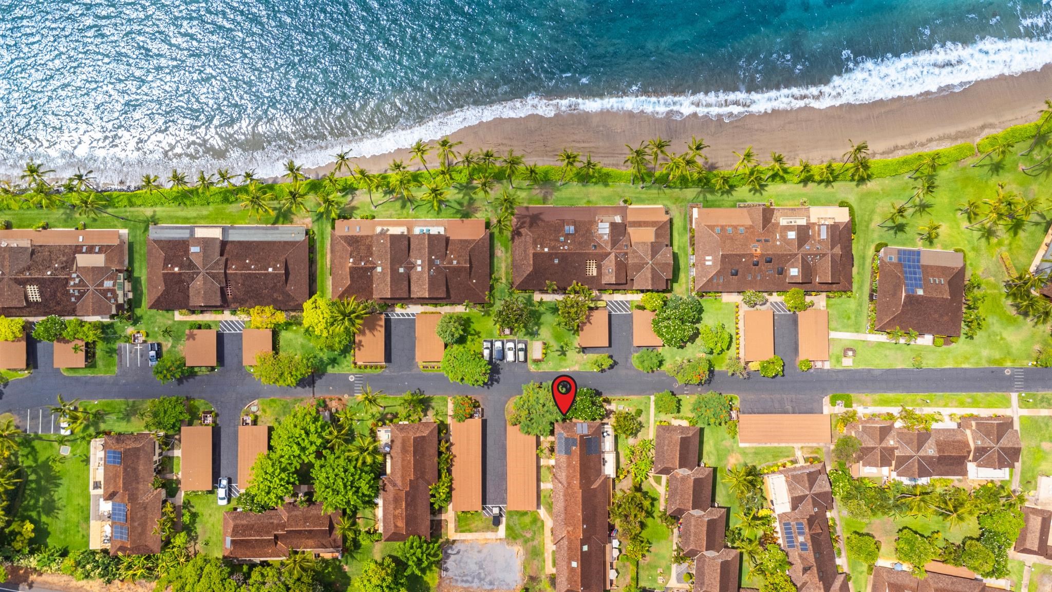 153 Pualei Dr Unit: 153-6