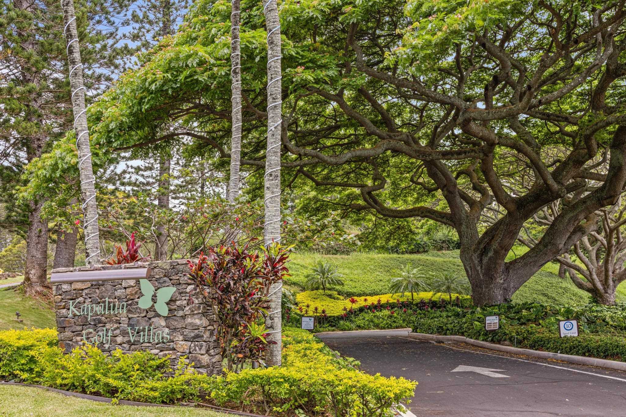 500 Kapalua Dr Unit: 11P3-4