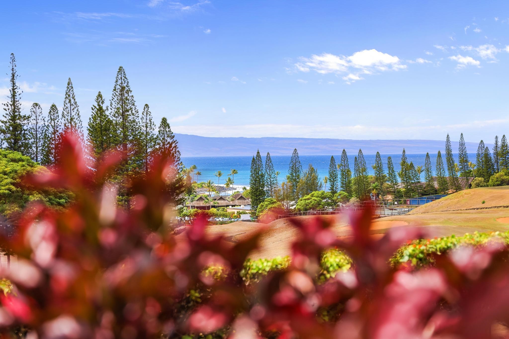 500 Kapalua Dr Unit: 11P3-4