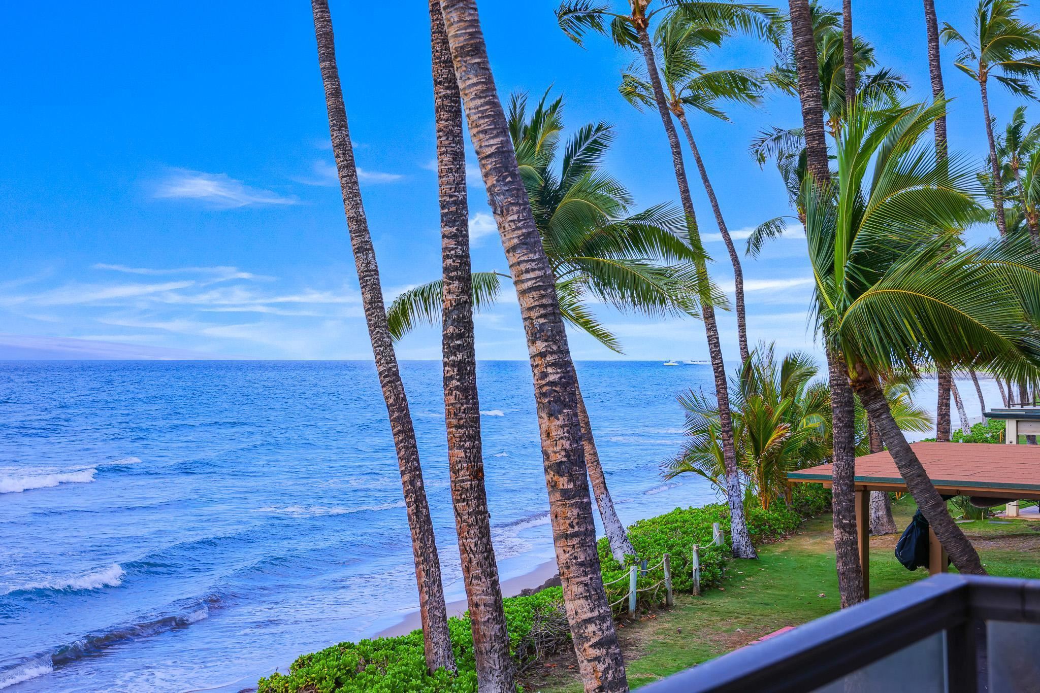 272 Pualei Dr Unit: 272-3