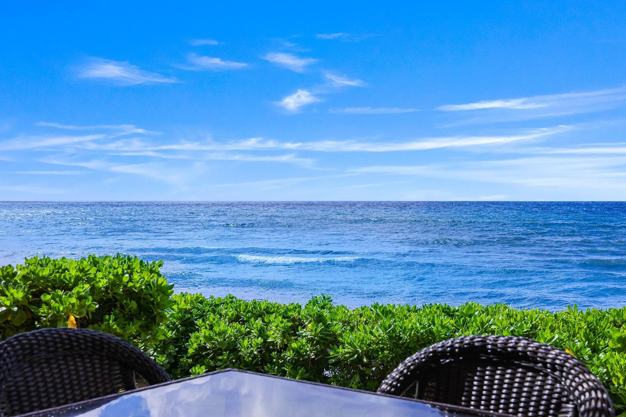 272 Pualei Dr Unit: 272-3