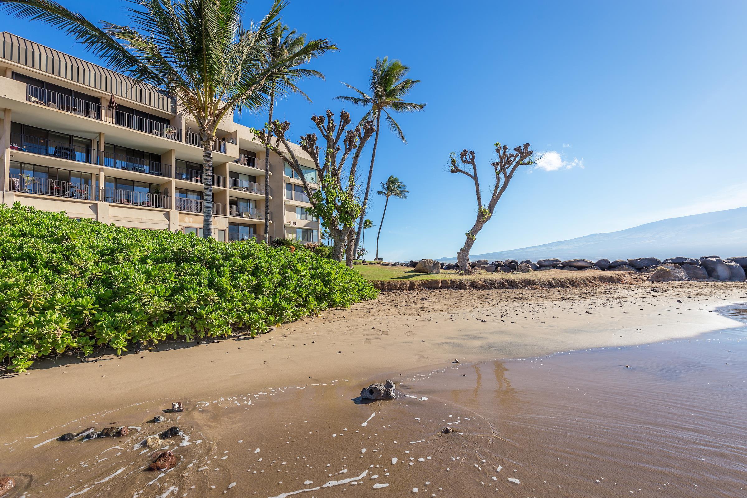 50 Hauoli St Unit: 106