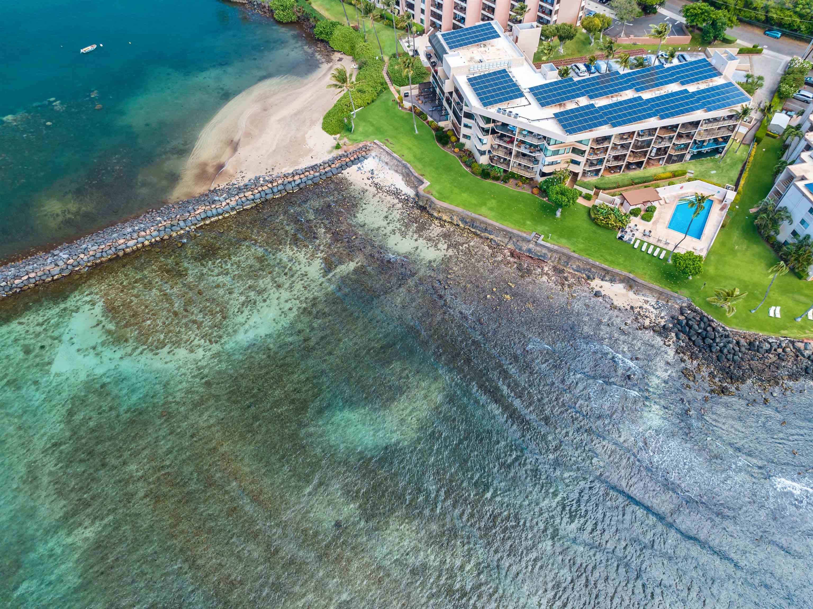 50 Hauoli St Unit: 106