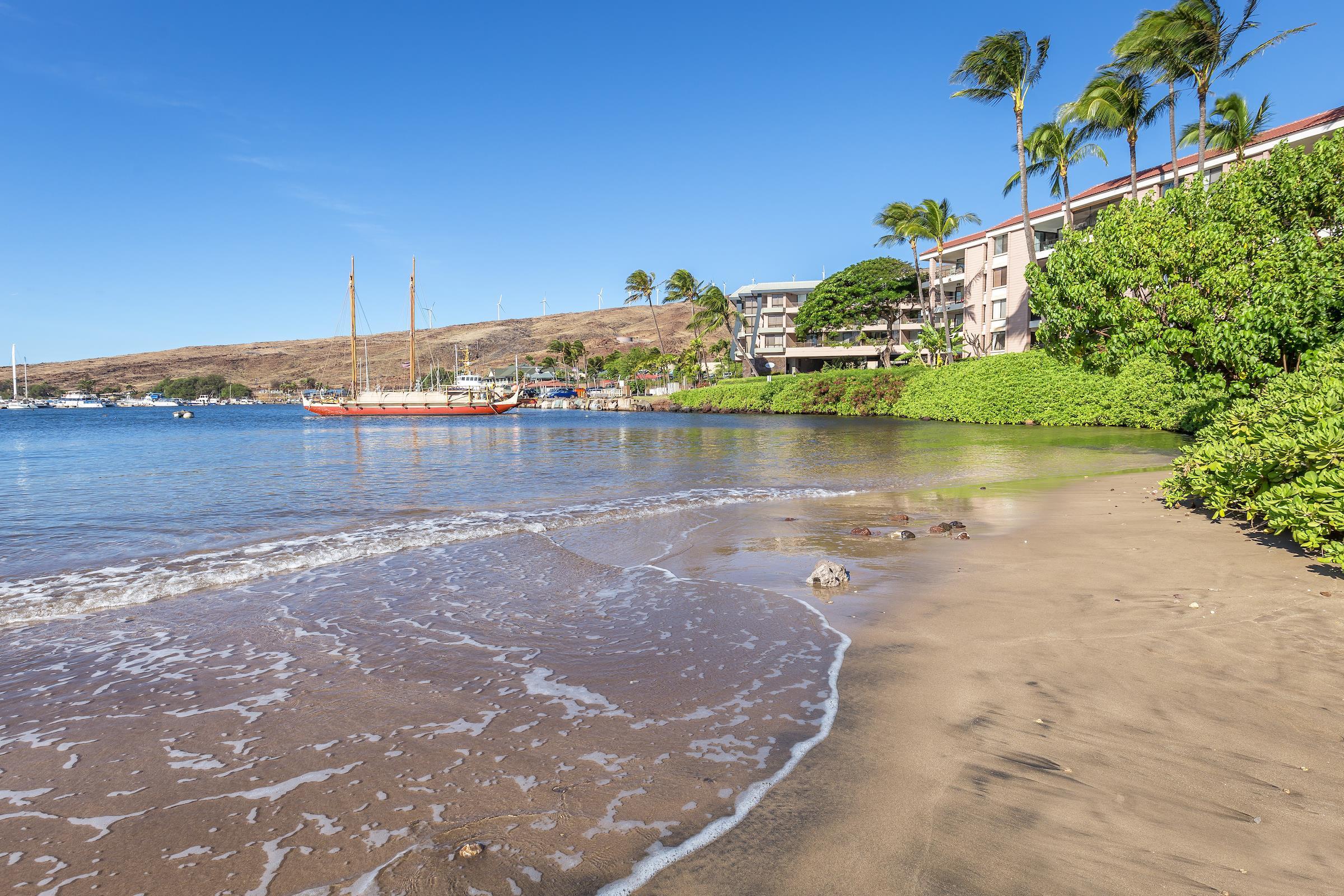 50 Hauoli St Unit: 106