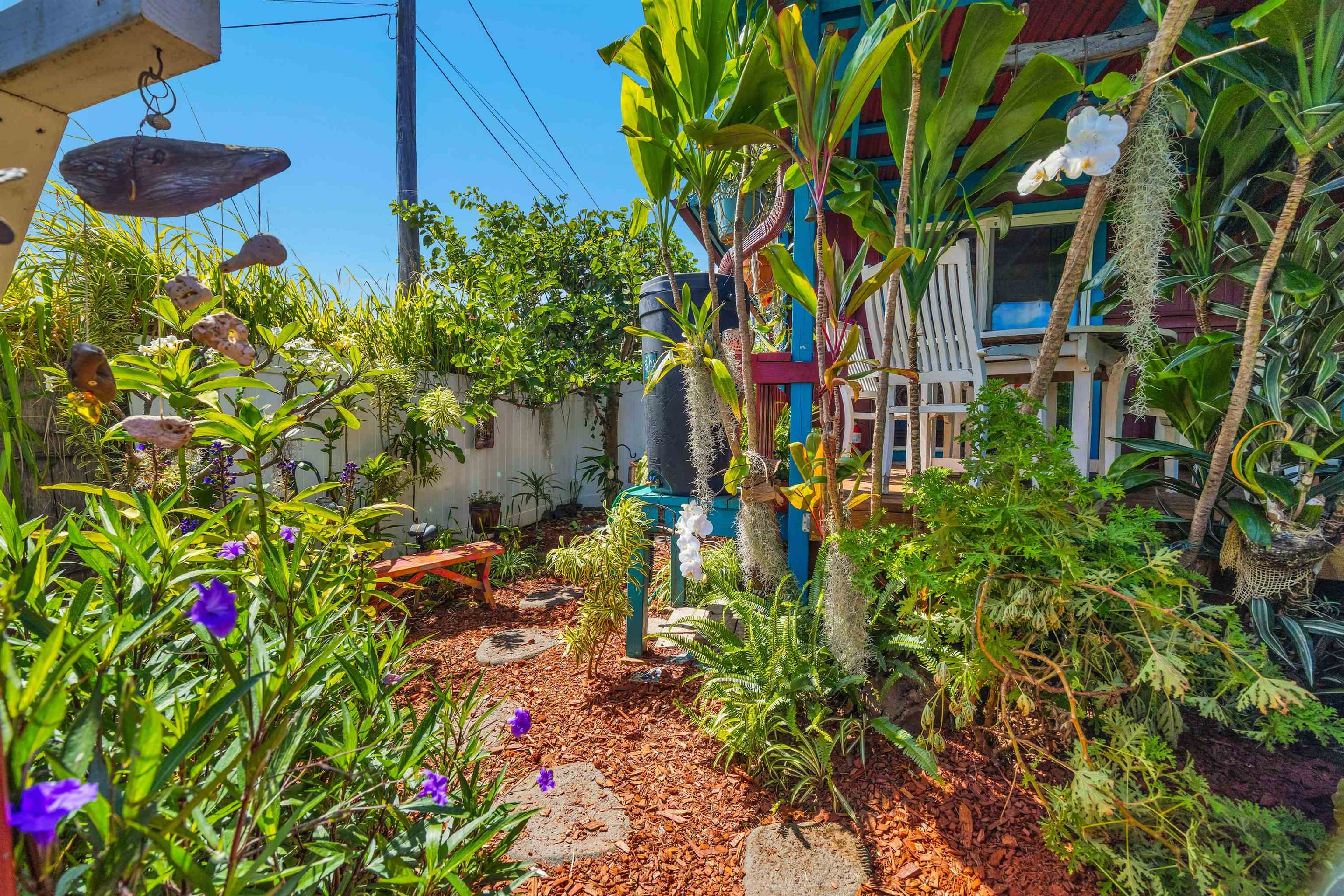 44 Lino Pl