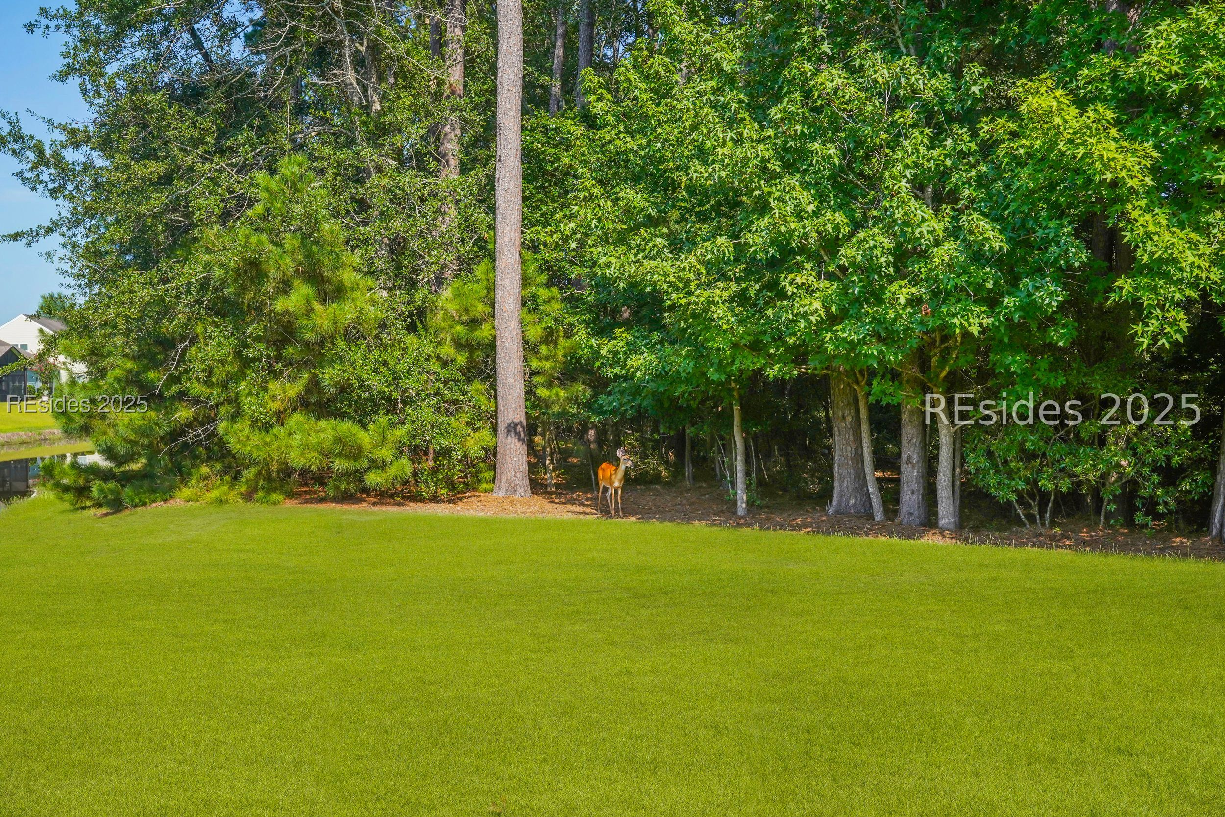 204 Mystic Point Drive