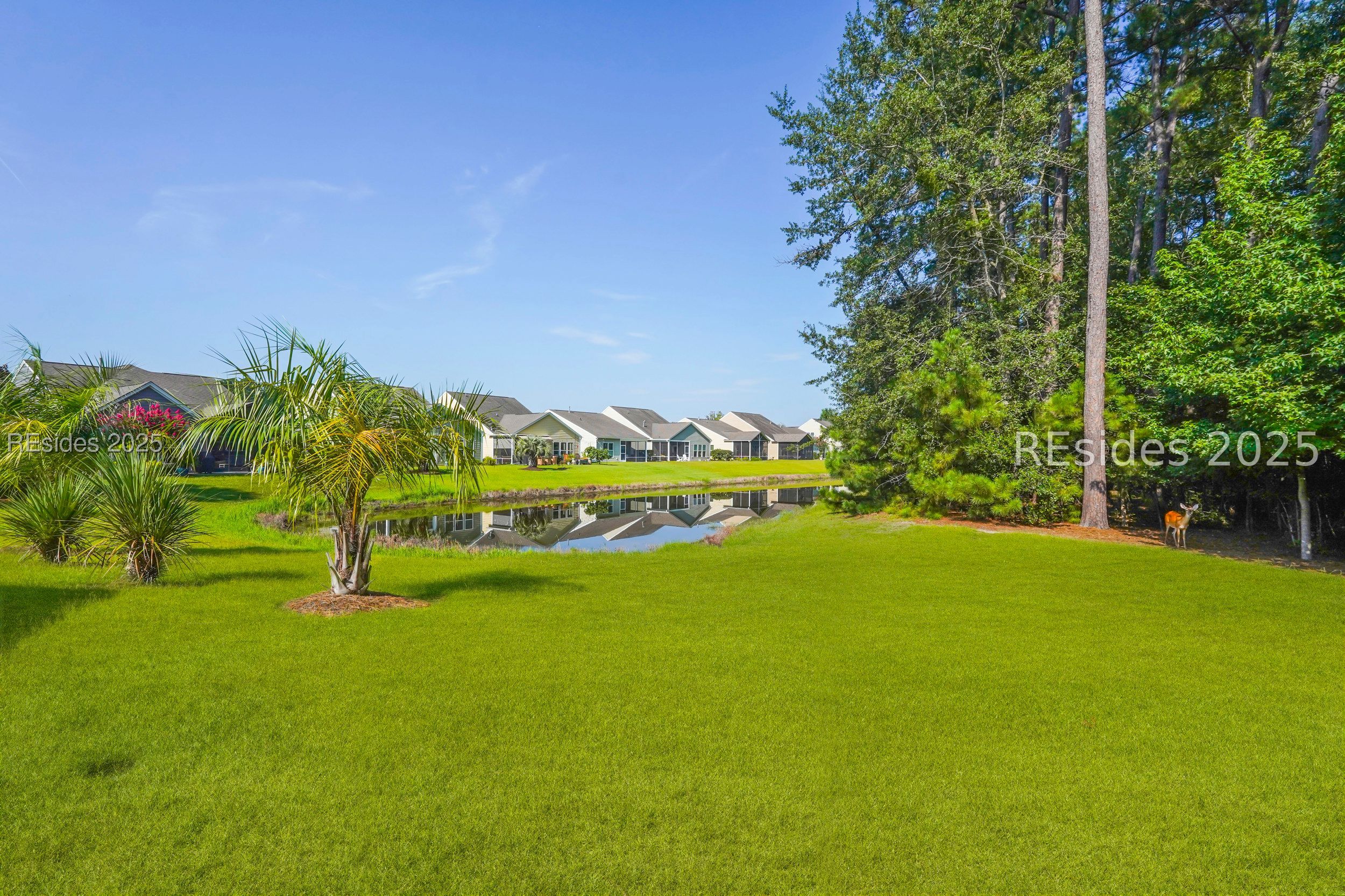 204 Mystic Point Drive