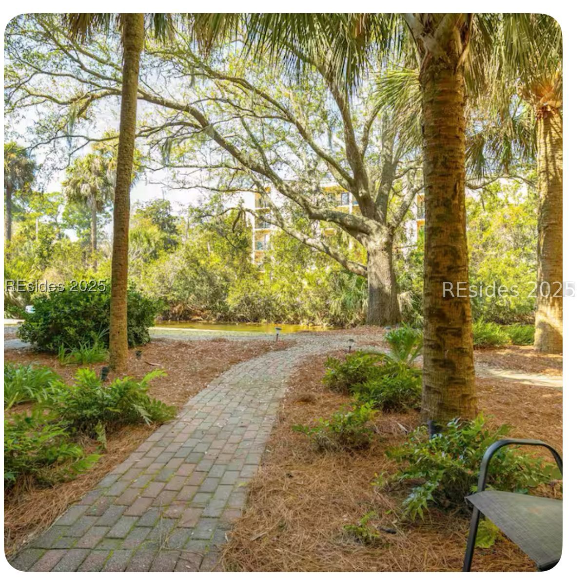 34 S Forest Beach Drive Unit: B1