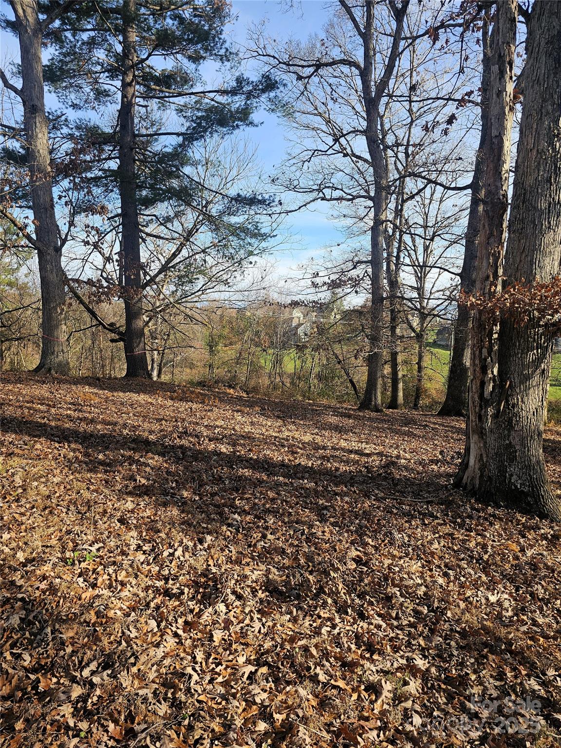 184 Majestic Ridge Road