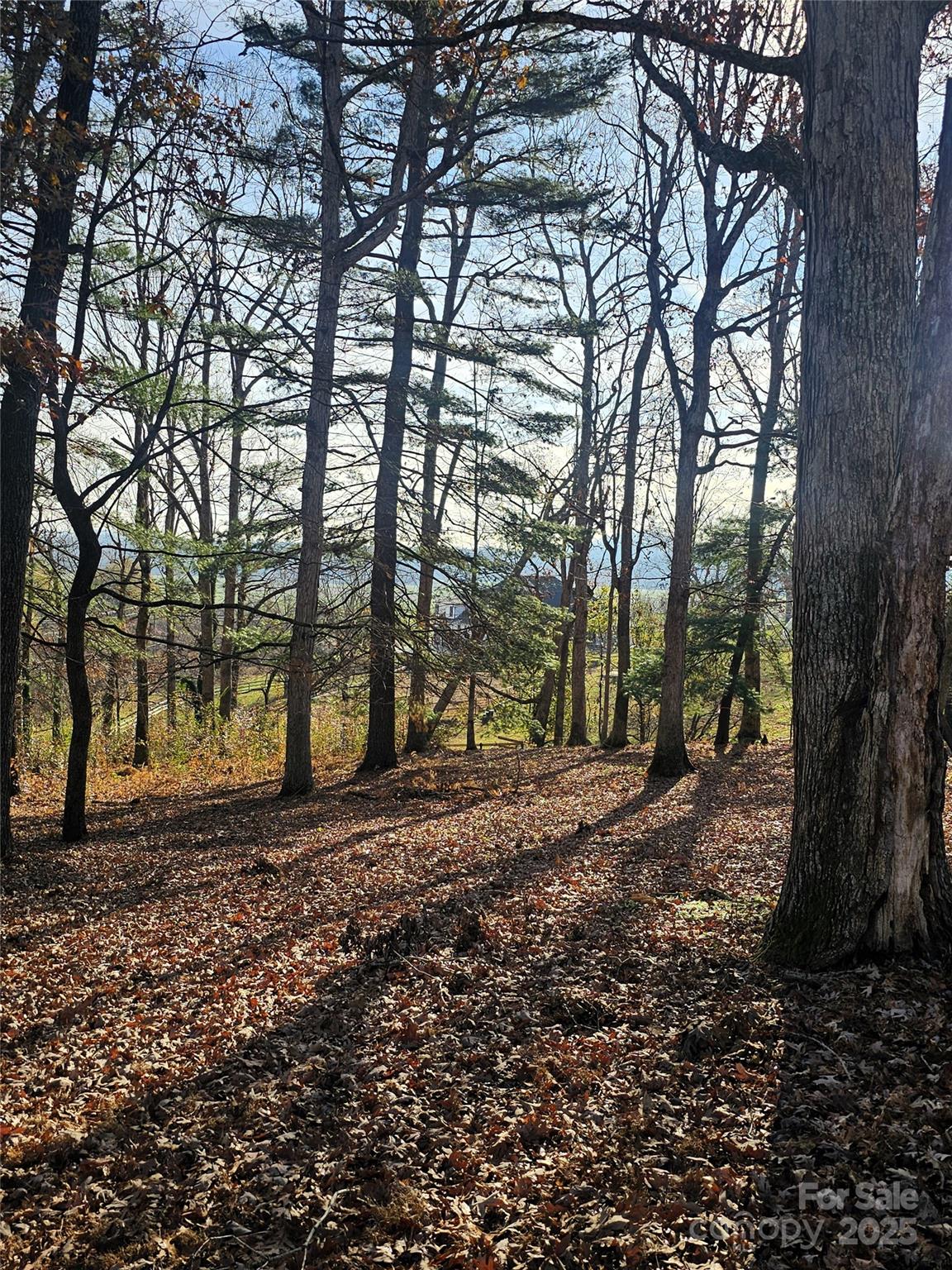 184 Majestic Ridge Road