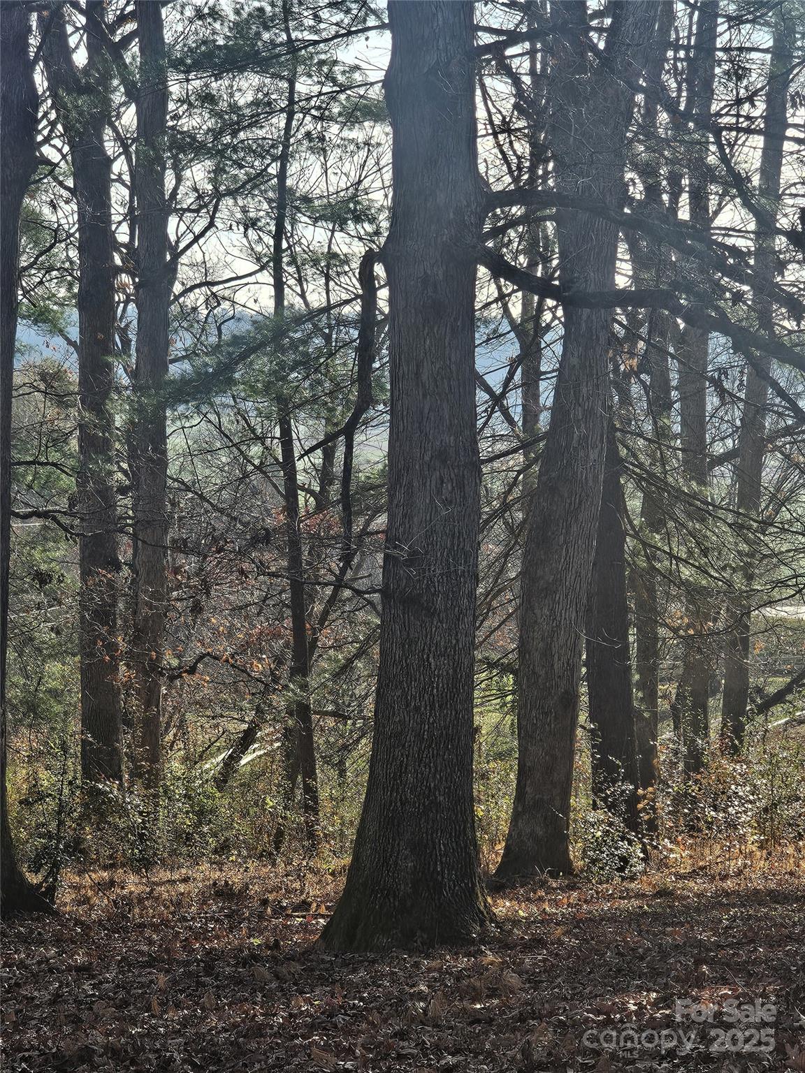 184 Majestic Ridge Road