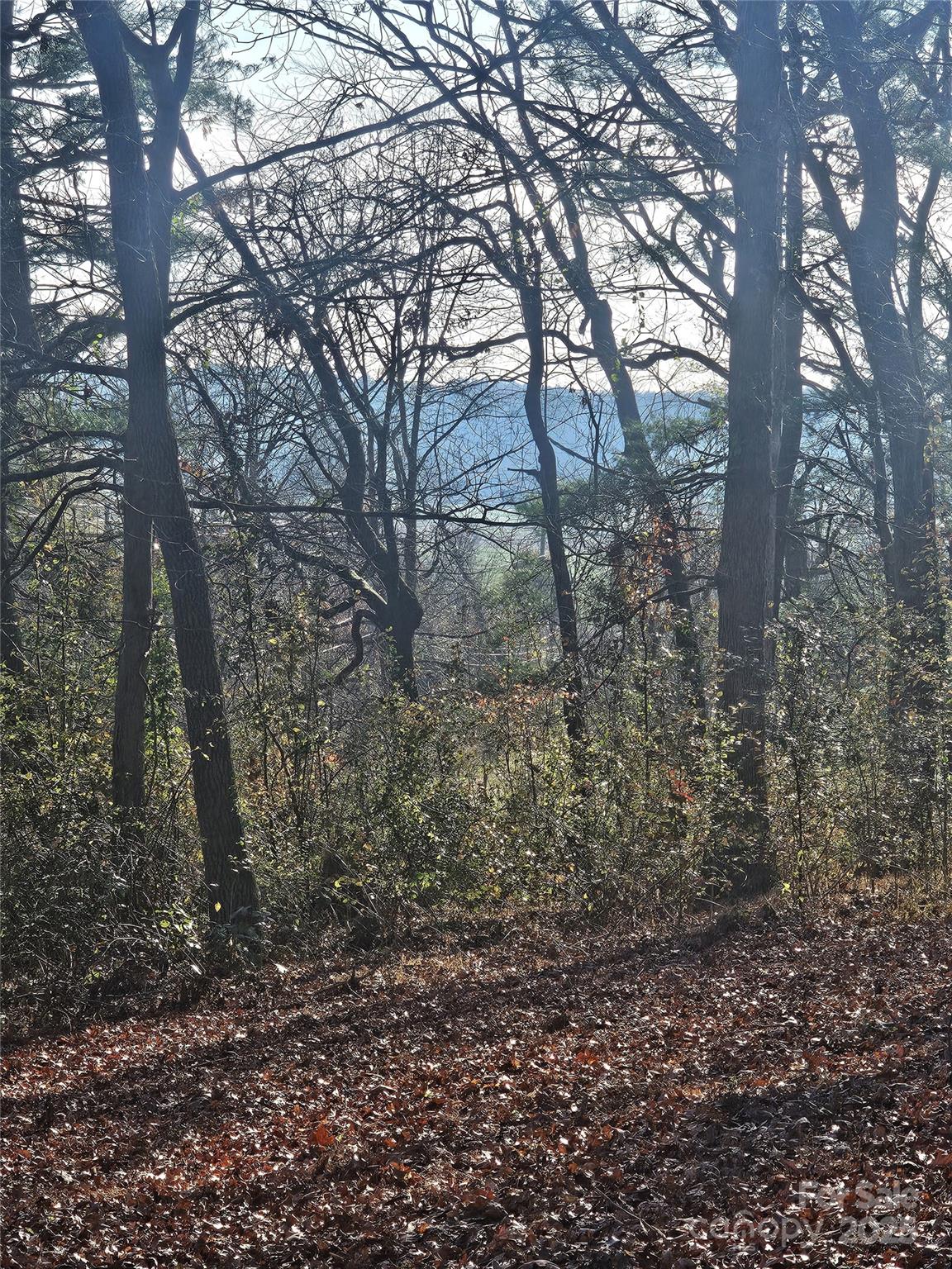 184 Majestic Ridge Road