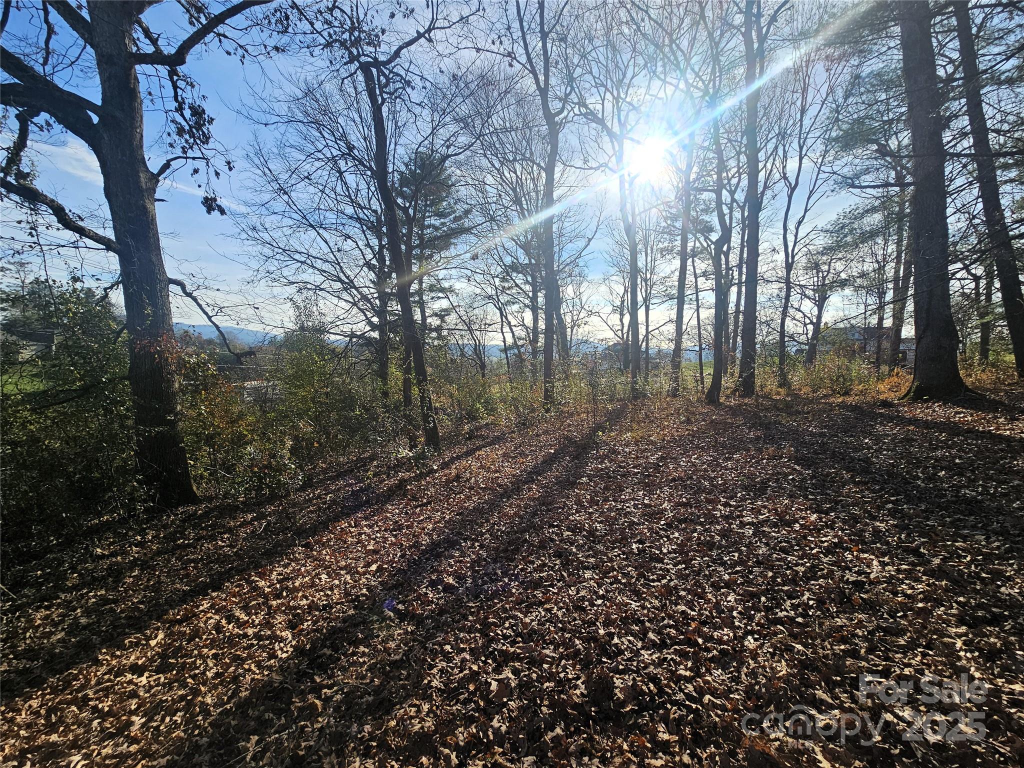 184 Majestic Ridge Road