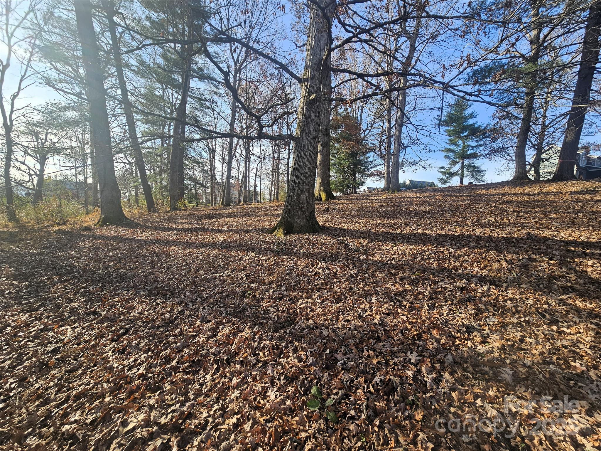 184 Majestic Ridge Road