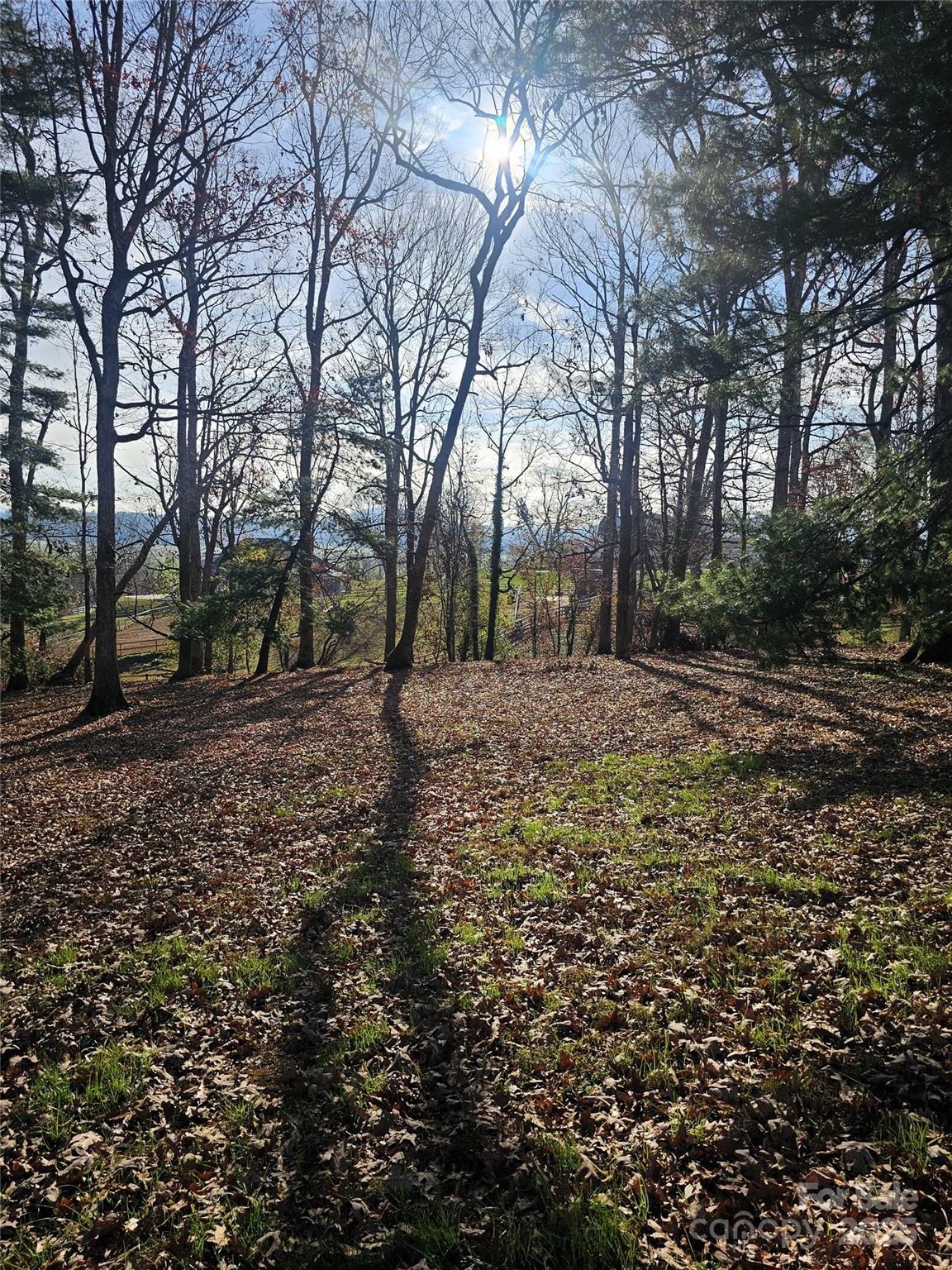 184 Majestic Ridge Road