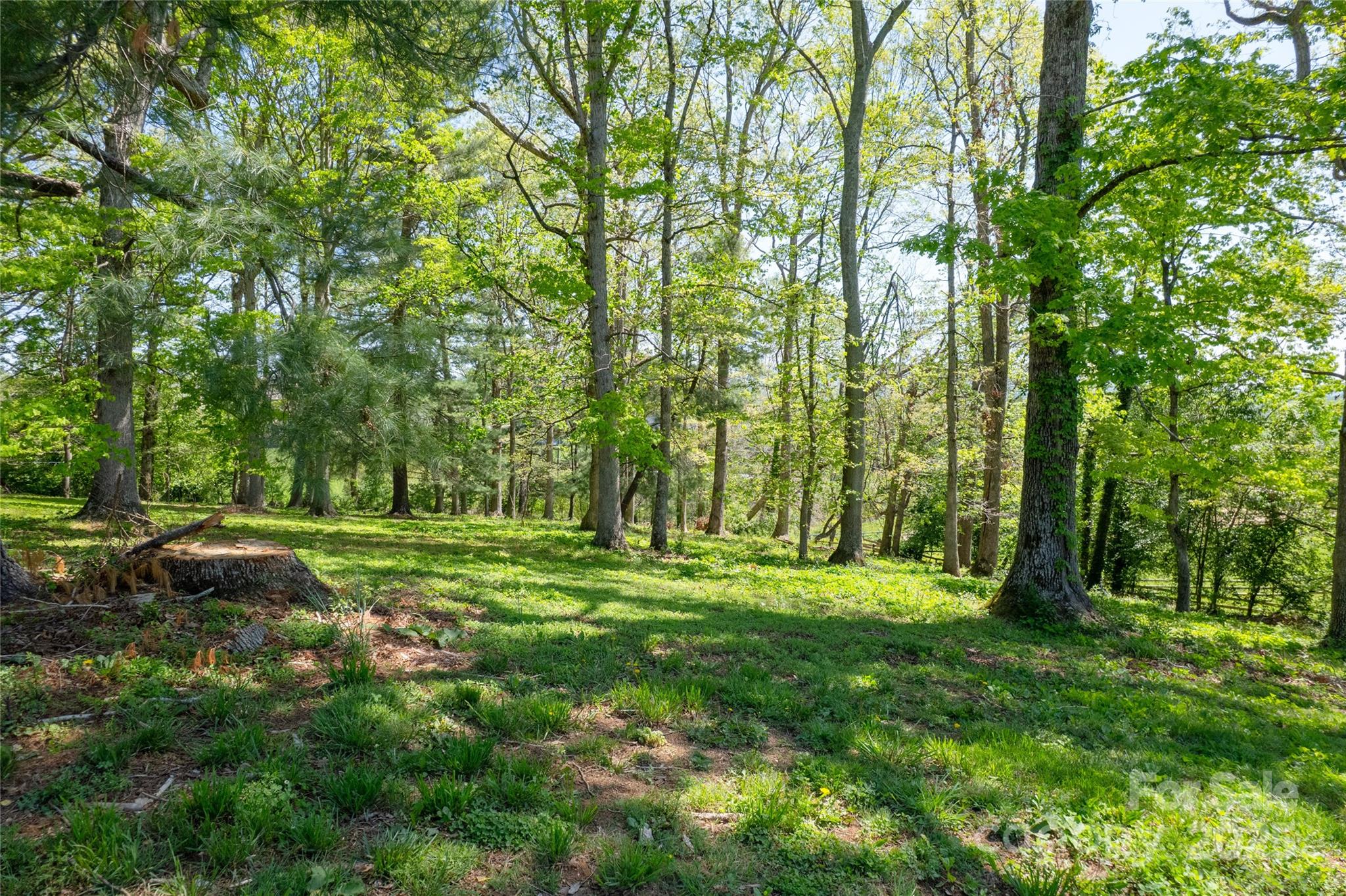 184 Majestic Ridge Road