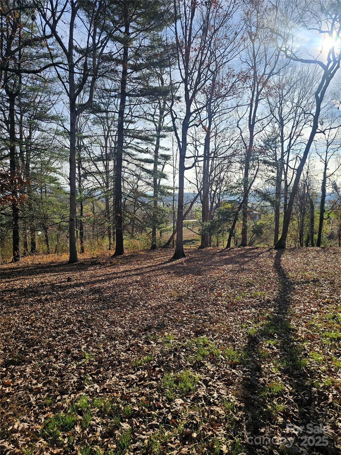 184 Majestic Ridge Road