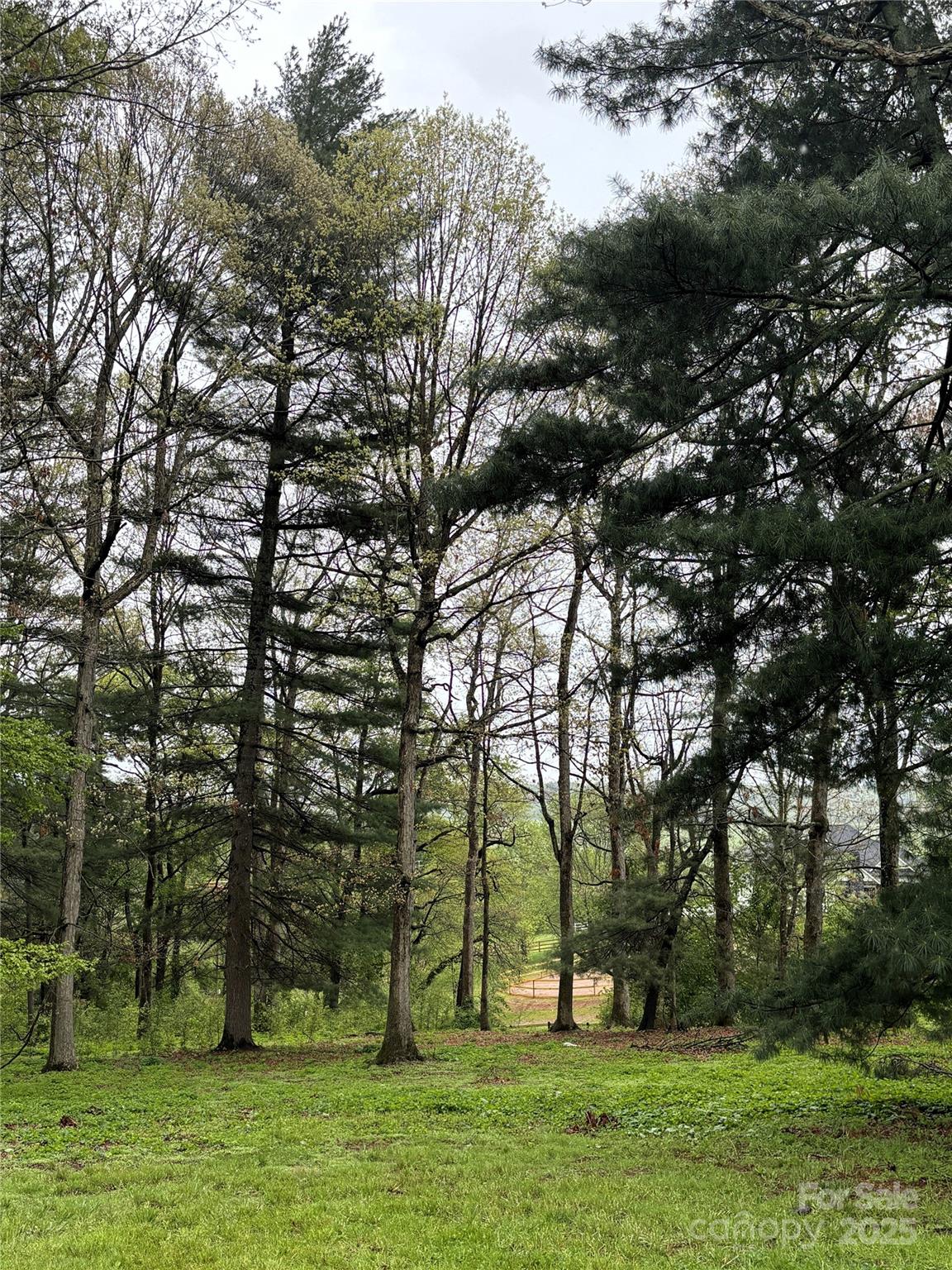 184 Majestic Ridge Road