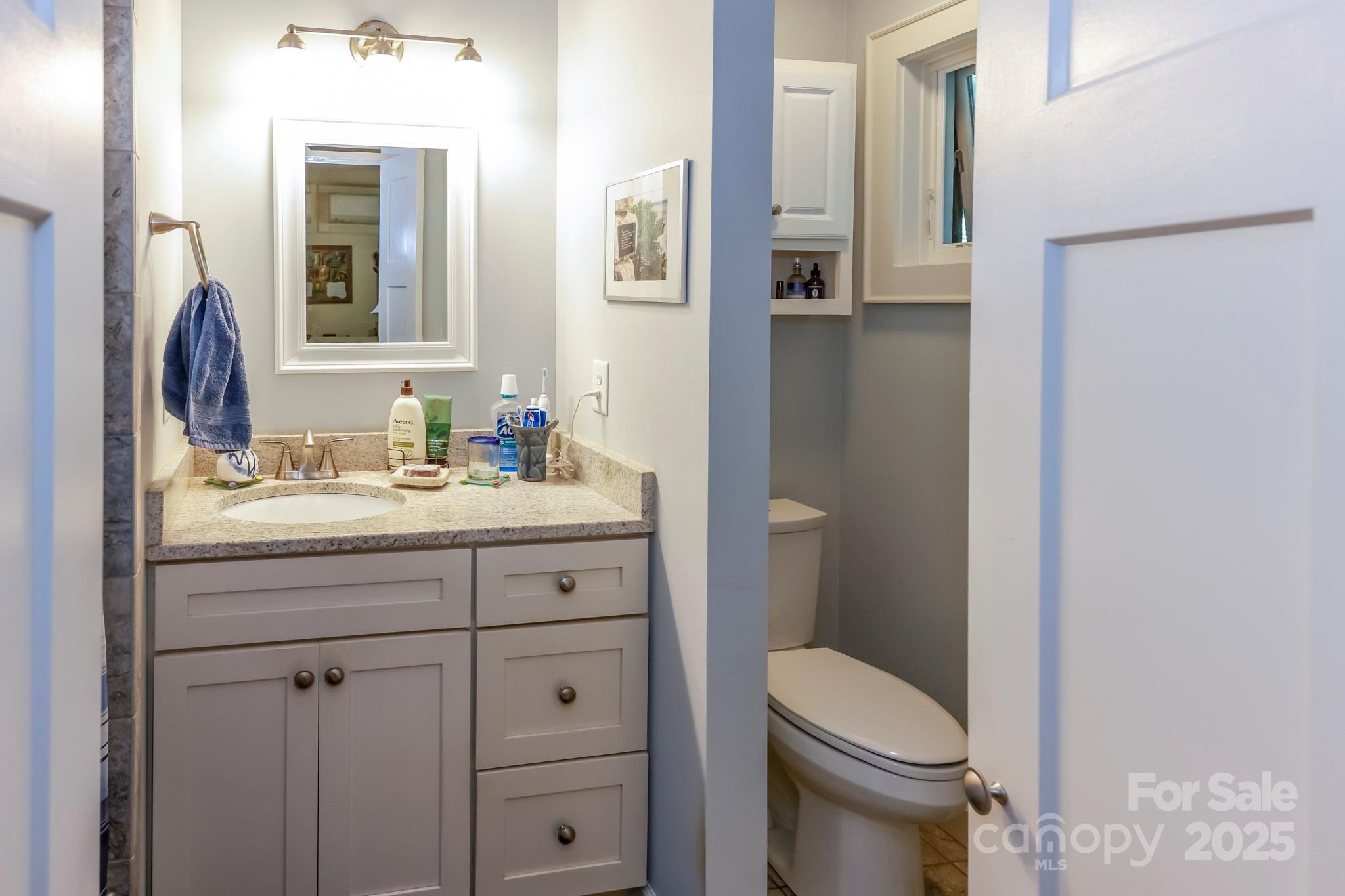 309 Willow Lakes Drive