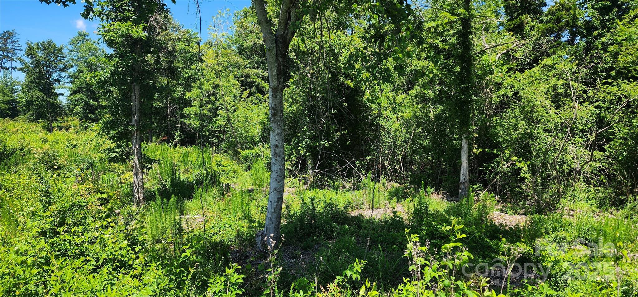 Lot 1 Poors Ford Road Unit: 1