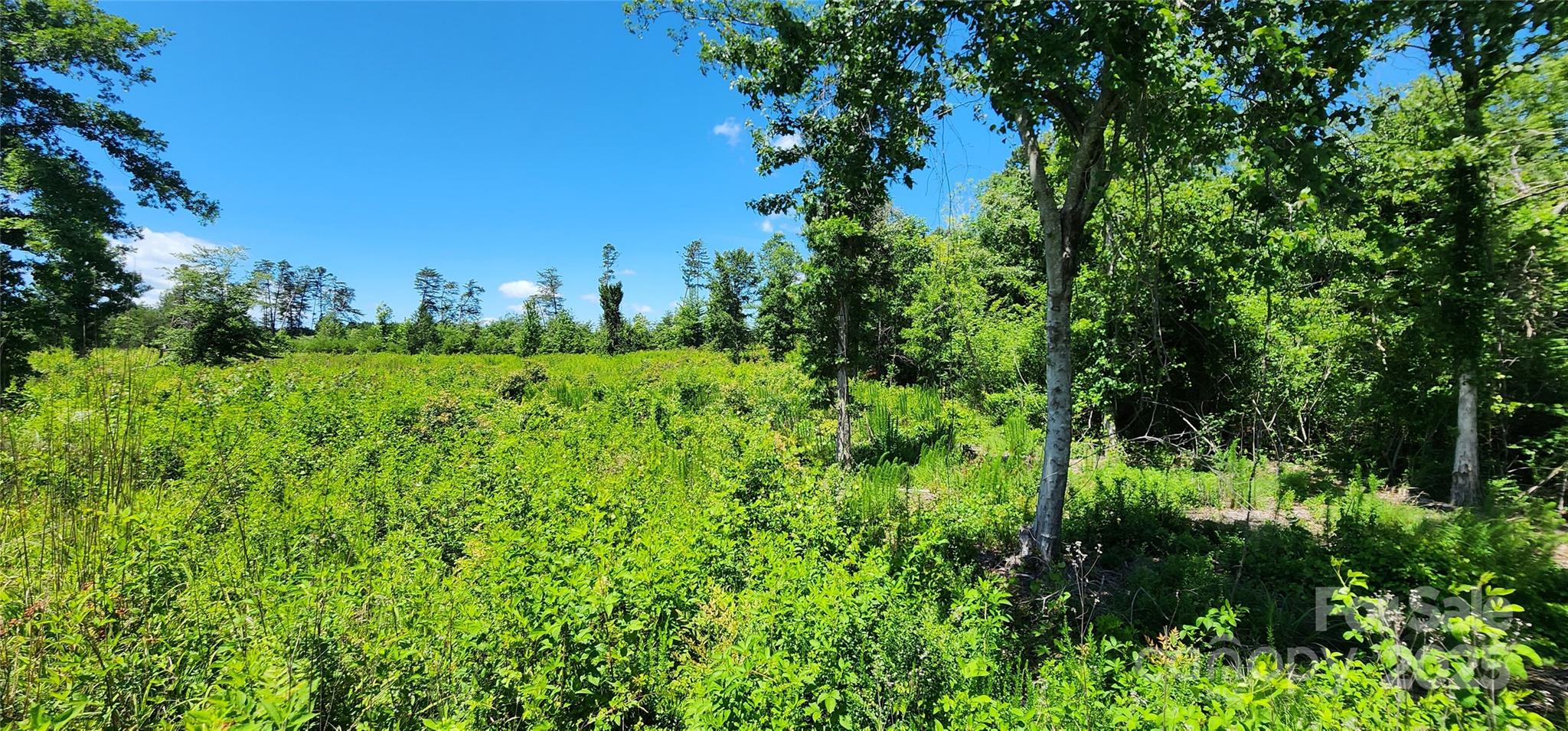 Lot 1 Poors Ford Road Unit: 1