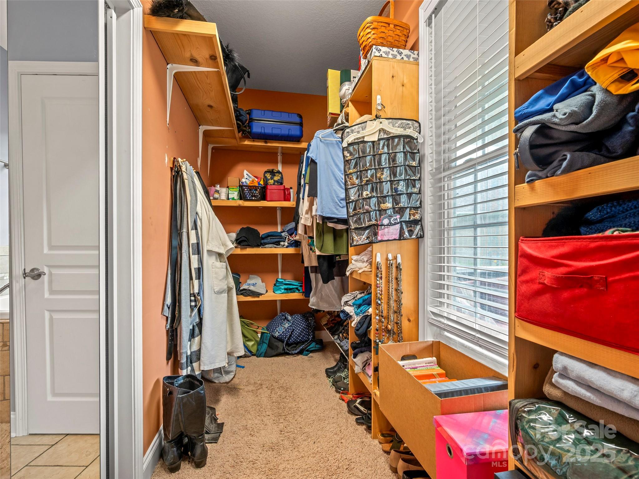 246 Springfield Meadow Drive