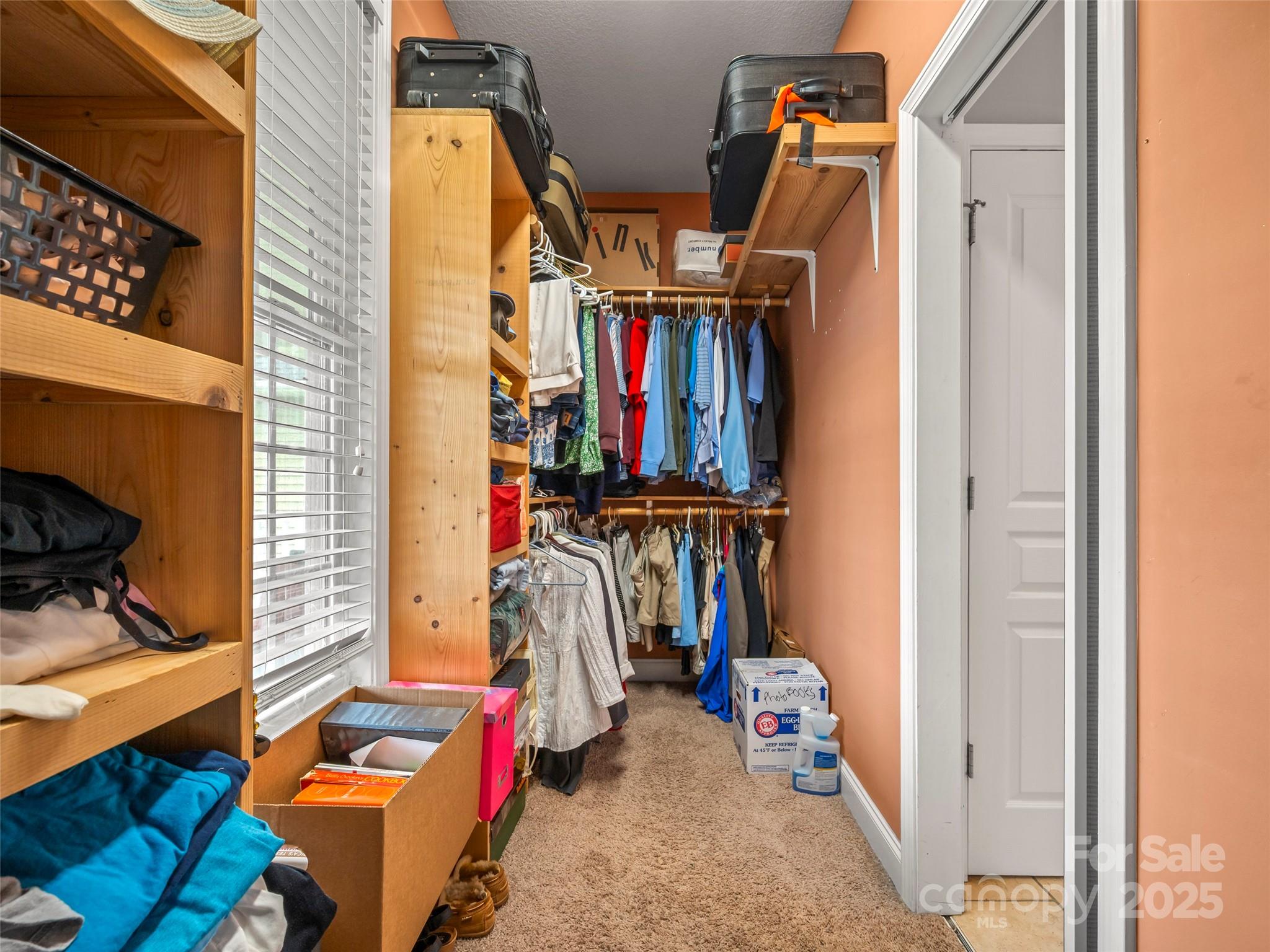 246 Springfield Meadow Drive