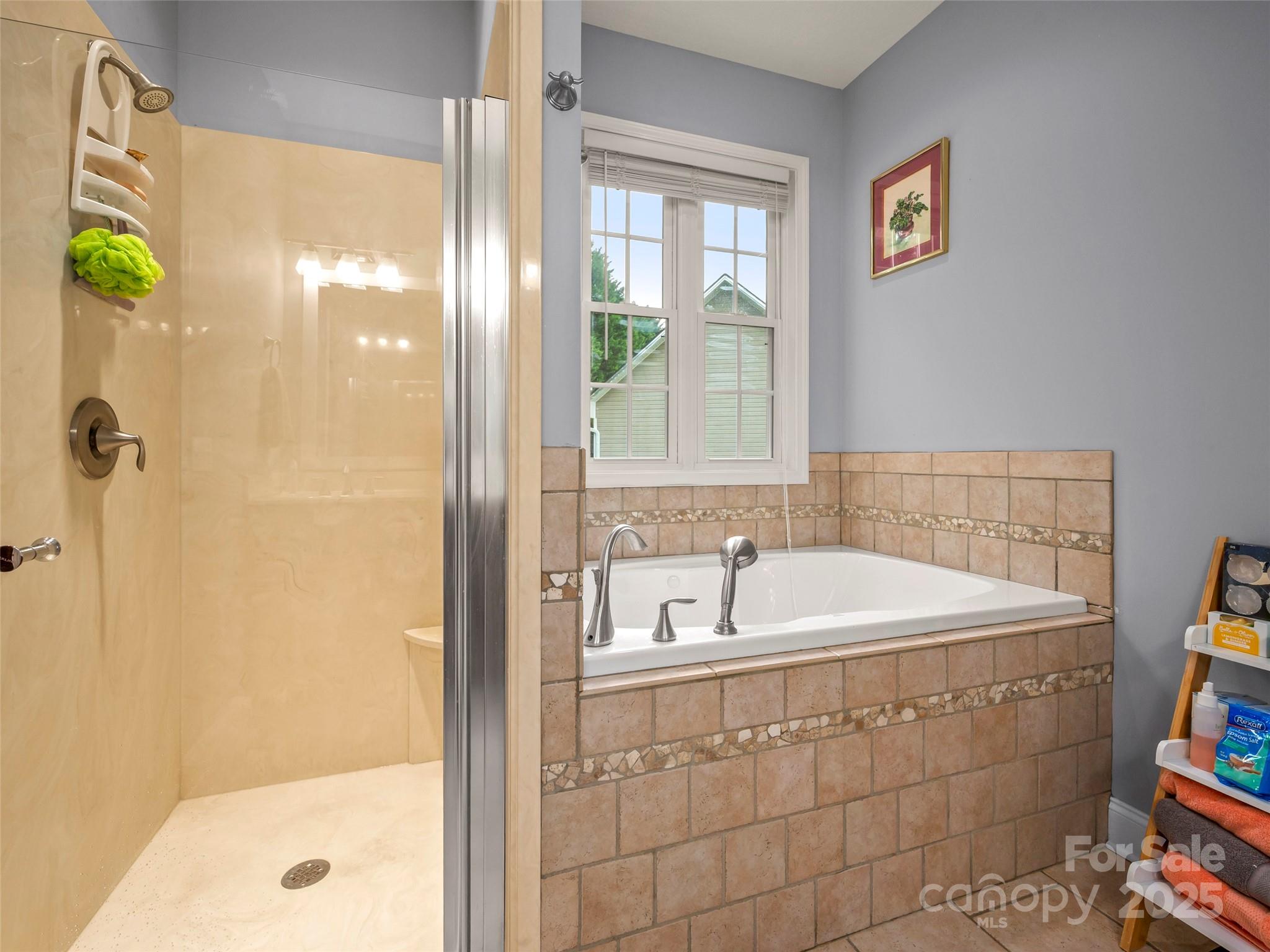 246 Springfield Meadow Drive