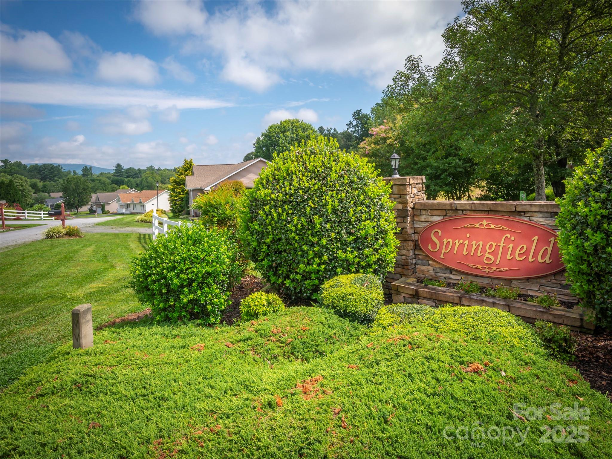 246 Springfield Meadow Drive