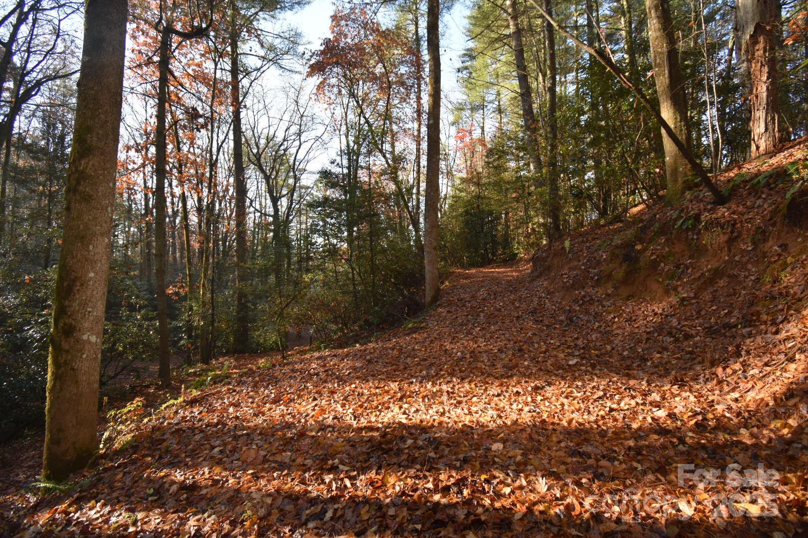 18748 Rosman Highway