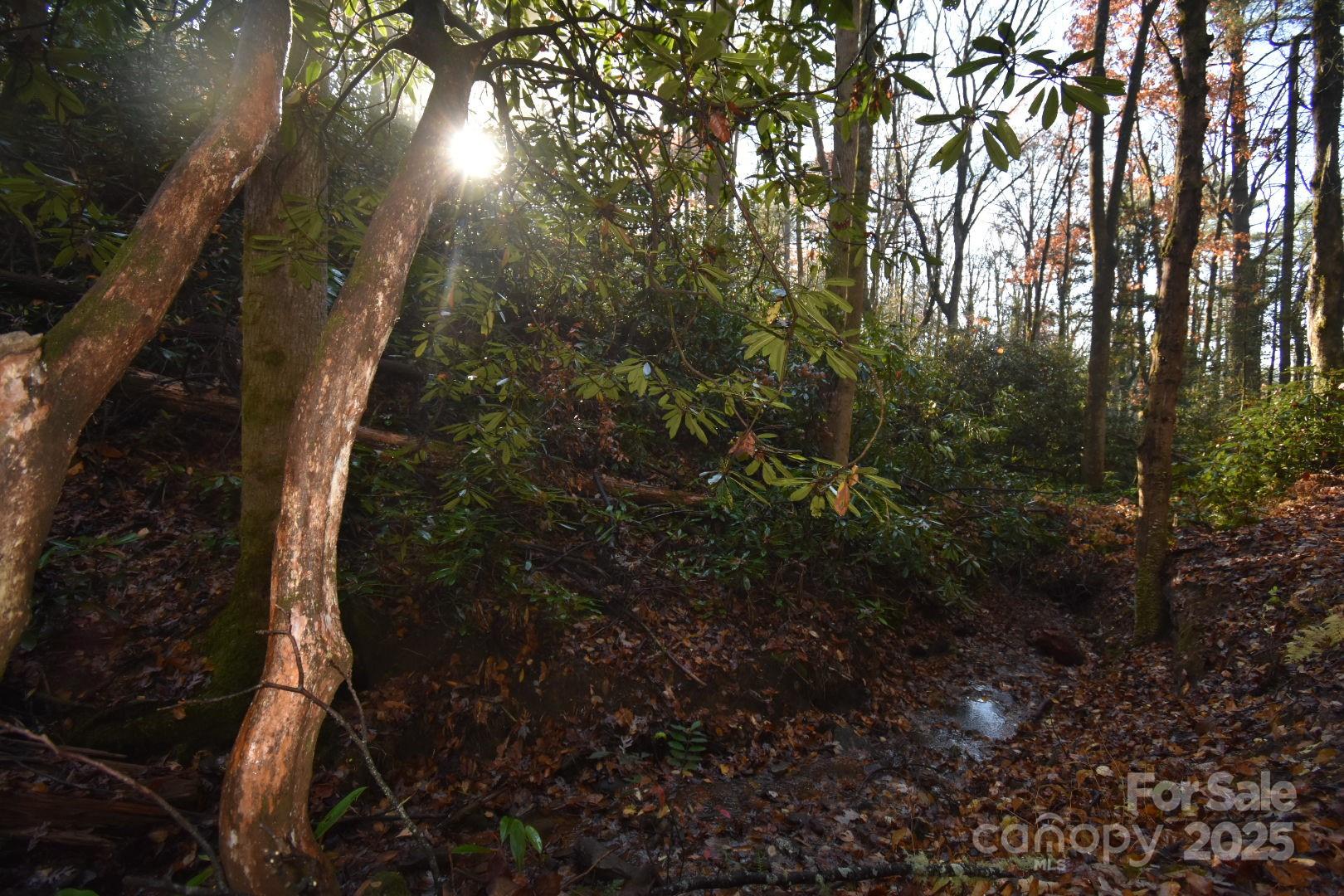 18748 Rosman Highway