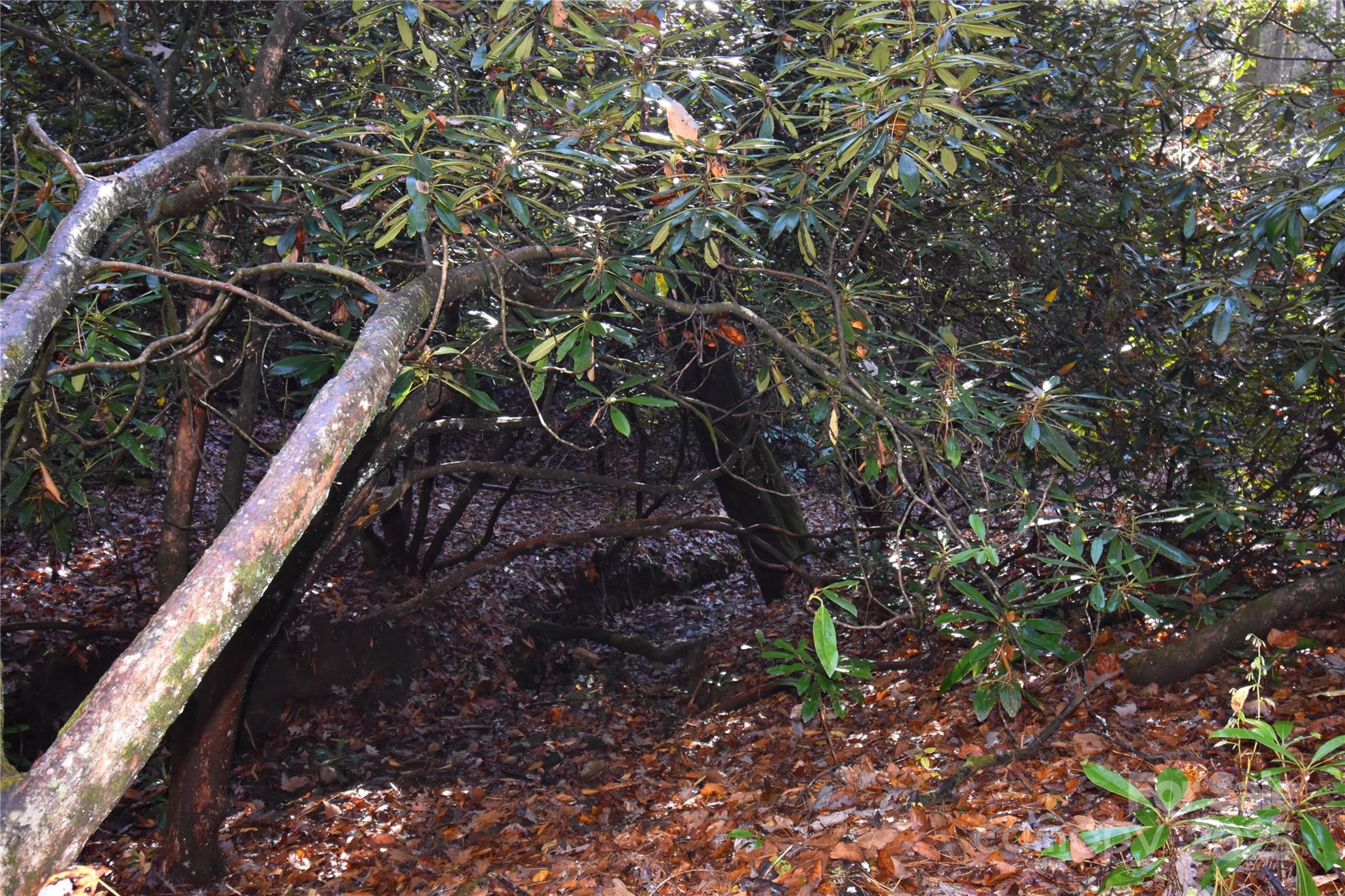 18748 Rosman Highway