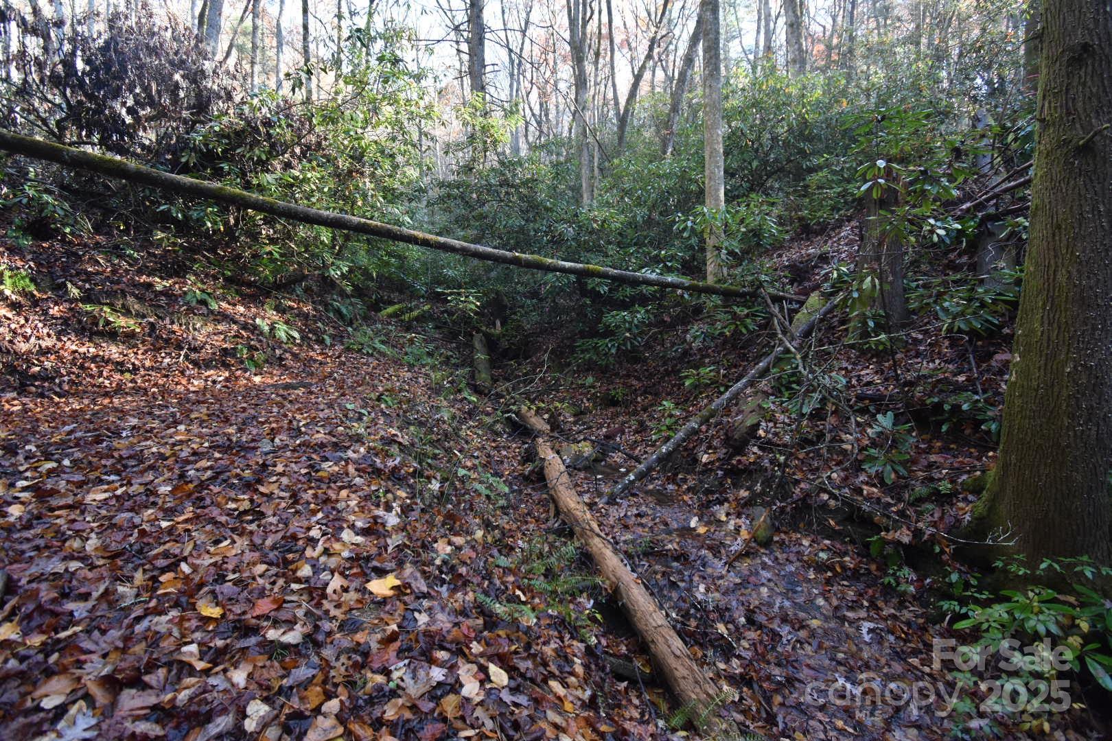 18748 Rosman Highway