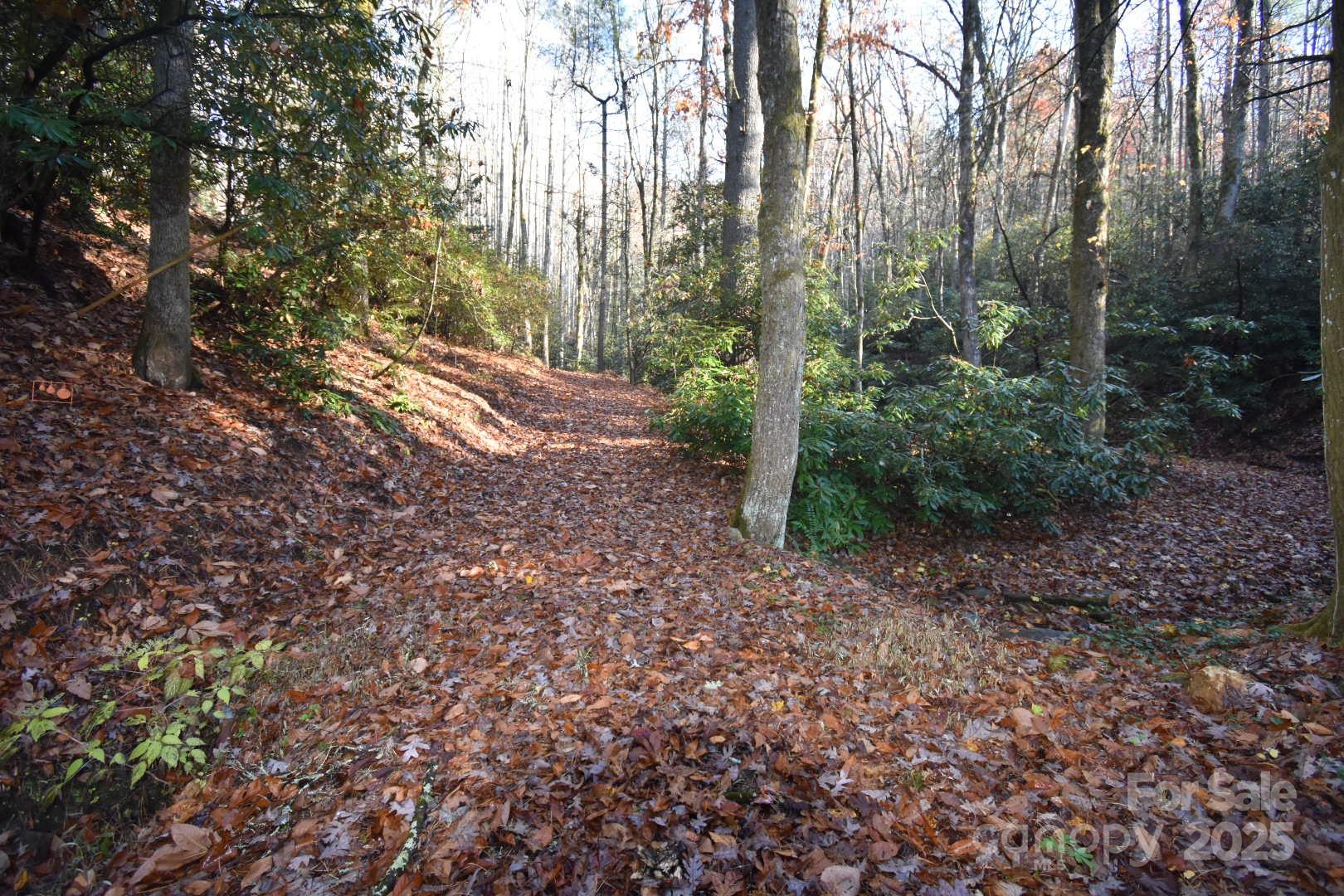 18748 Rosman Highway