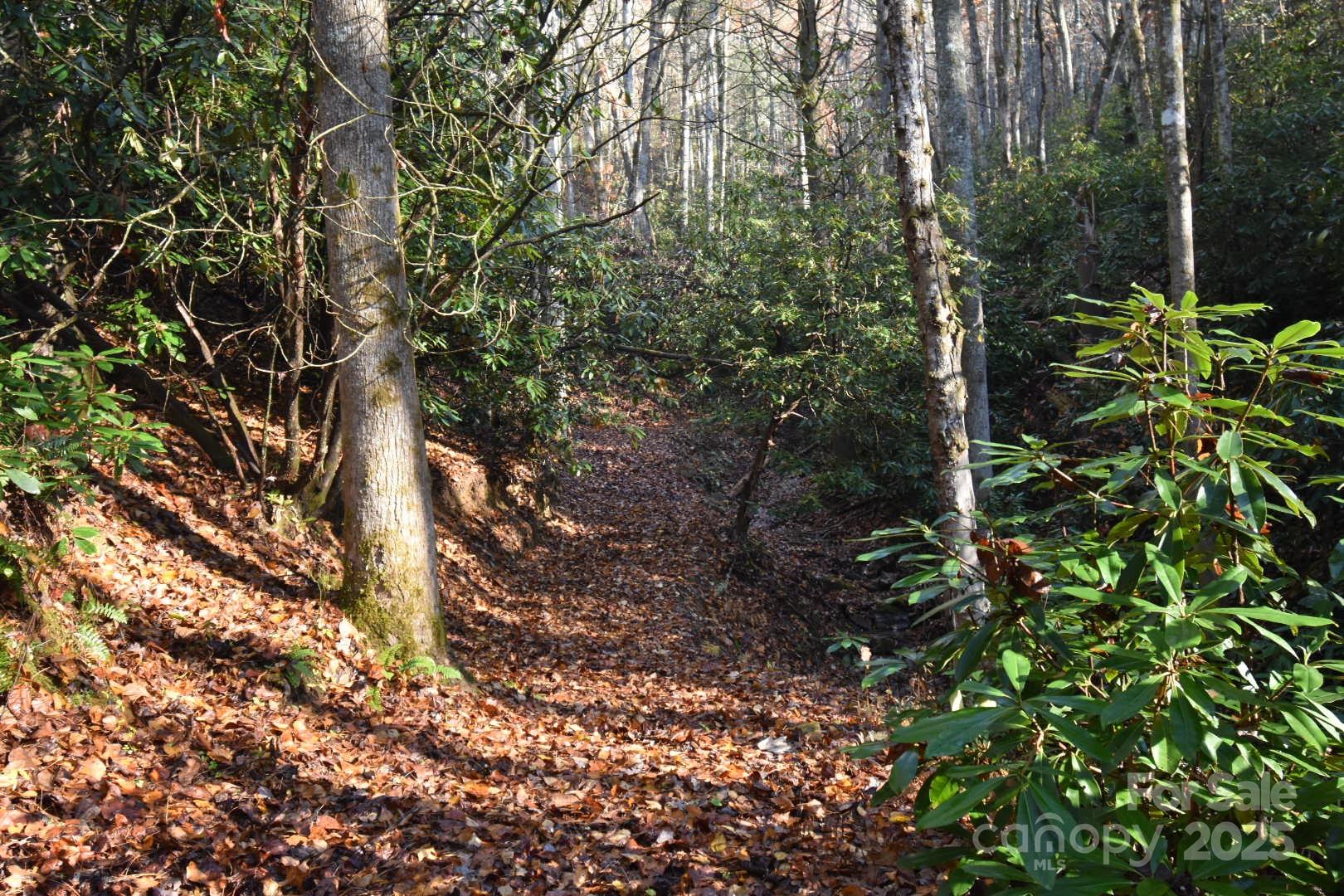 18748 Rosman Highway