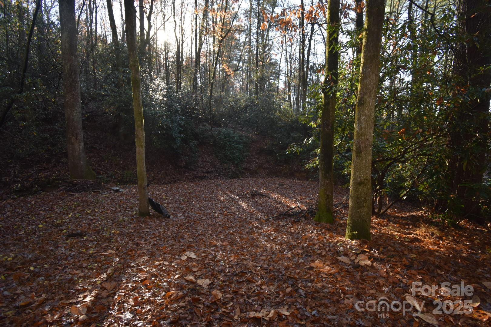 18748 Rosman Highway