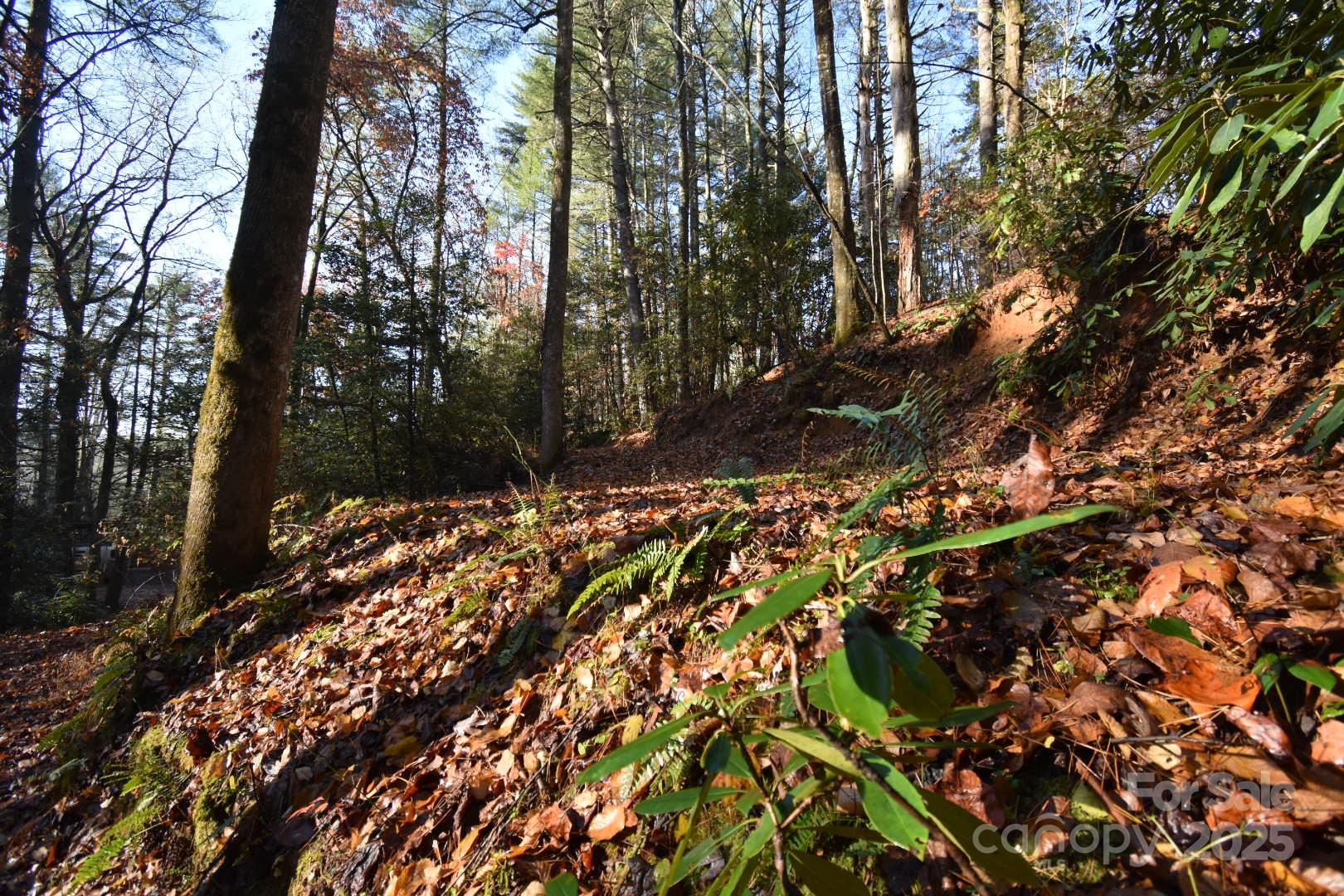 18748 Rosman Highway